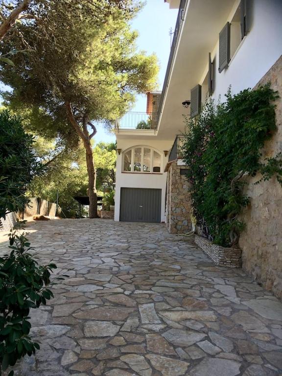 Mediterranean Dream