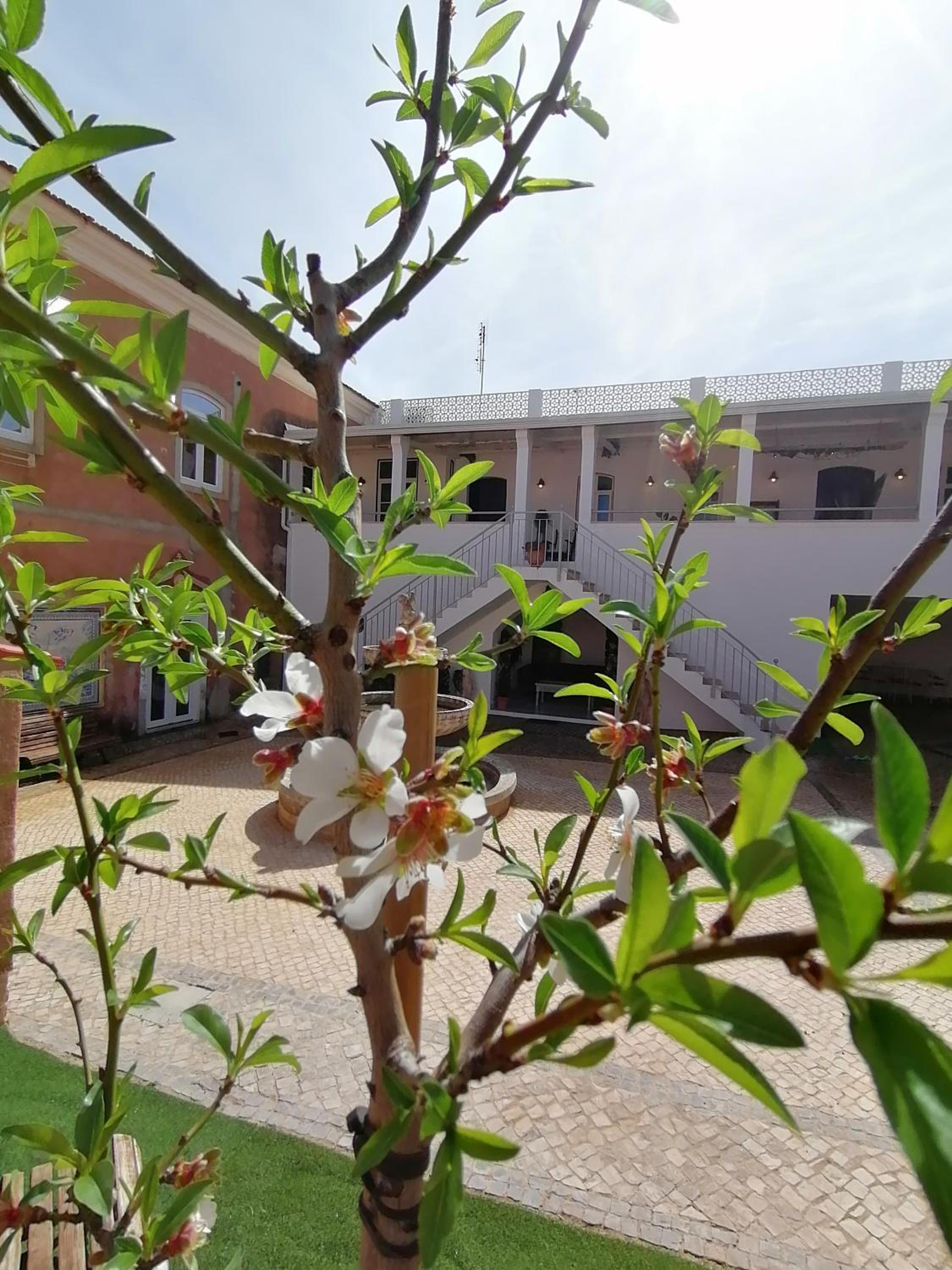Casa das Amendoeiras