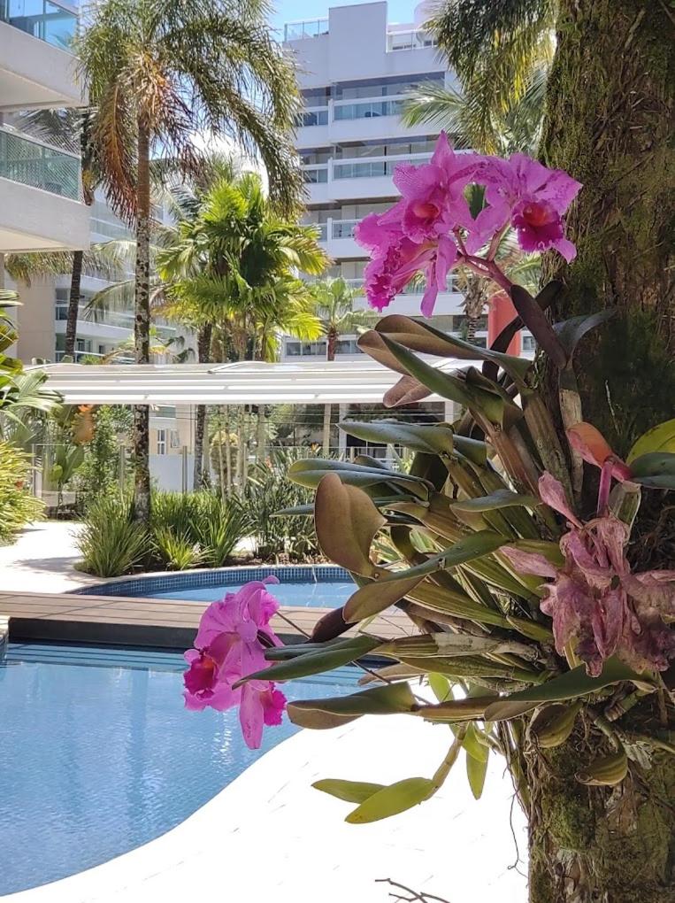 Ilha da Madeira Resort Riviera de São Lourenço SP