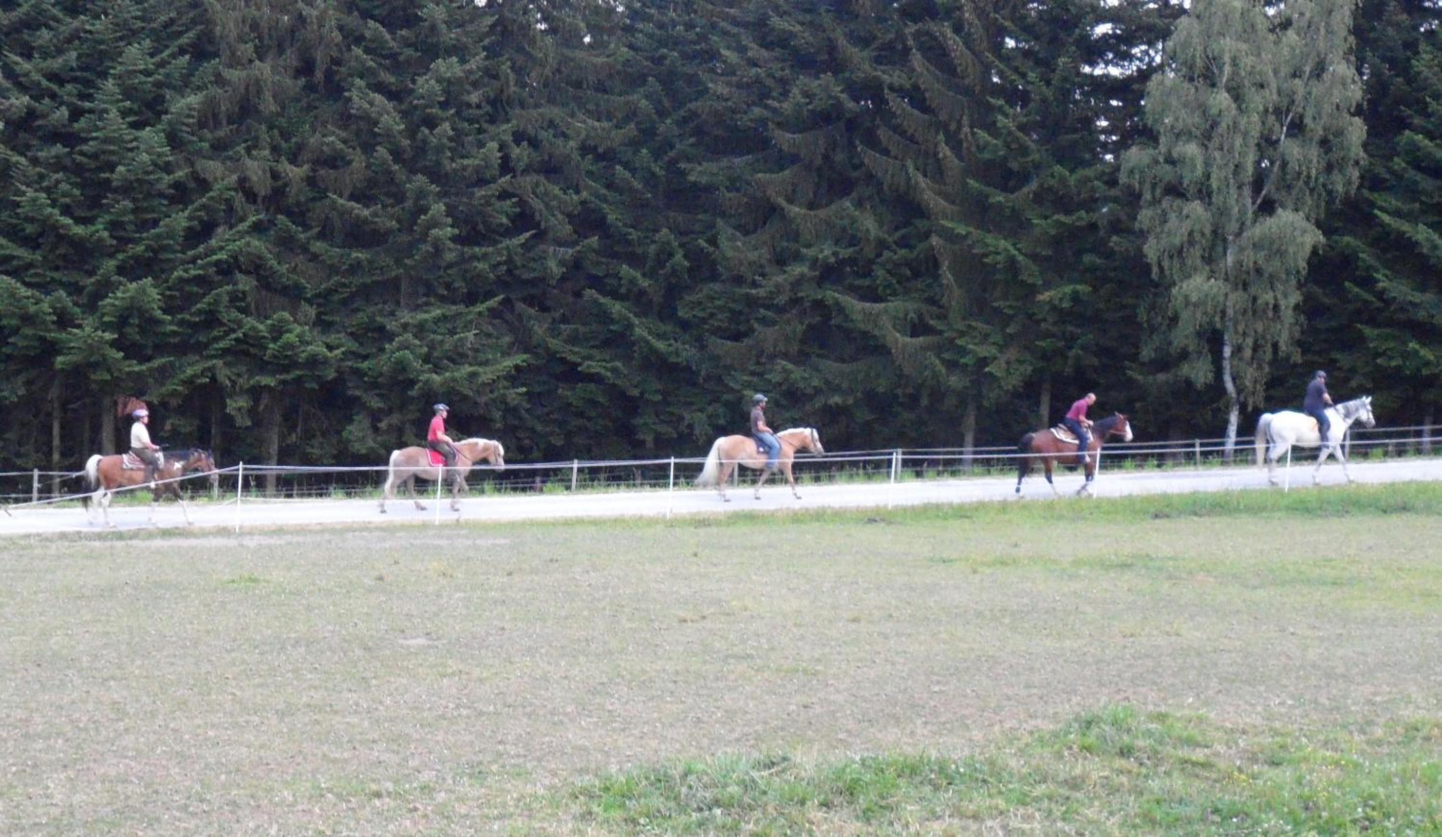 Ferienhaus Kitting
