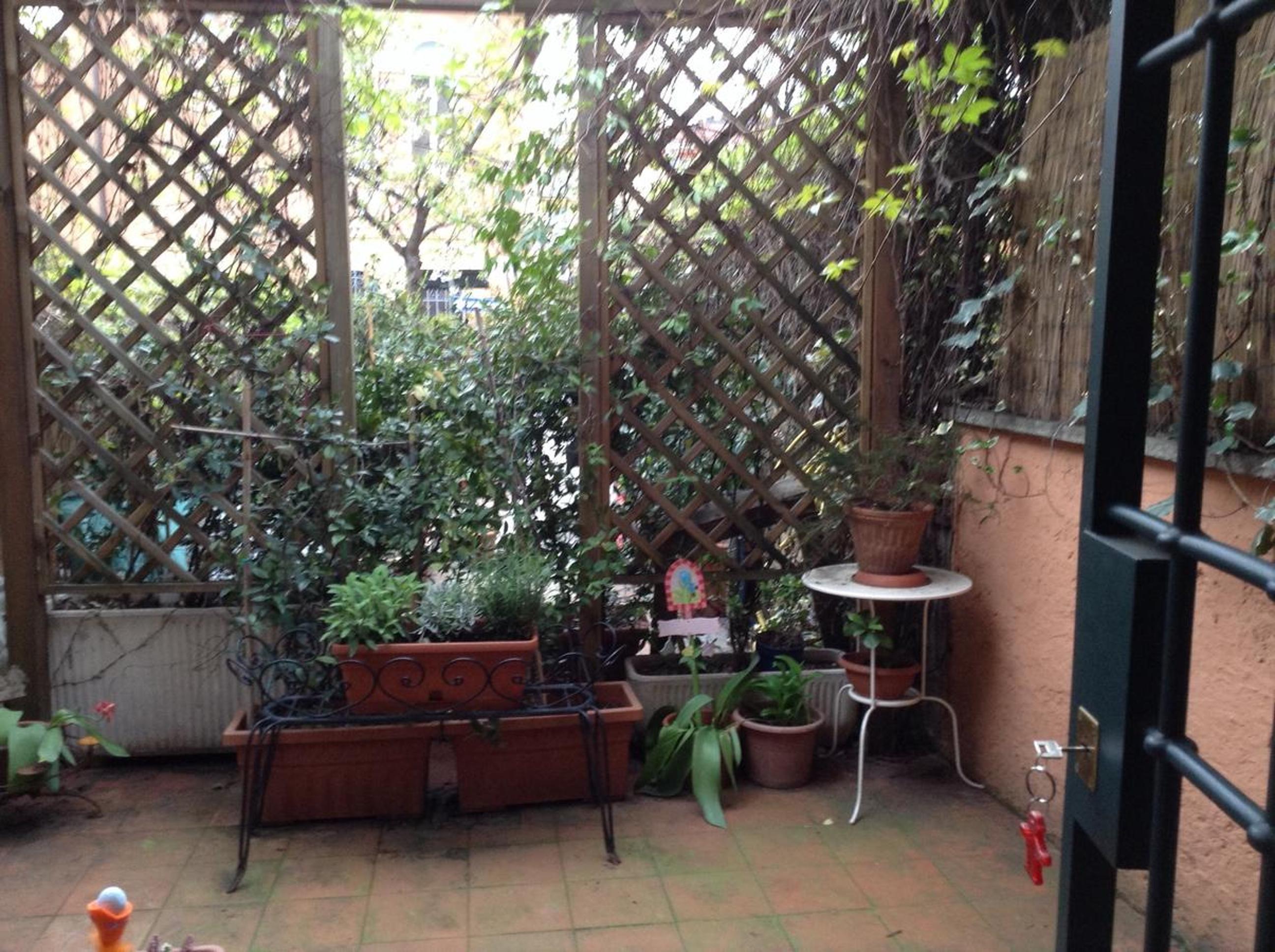 Photo 25