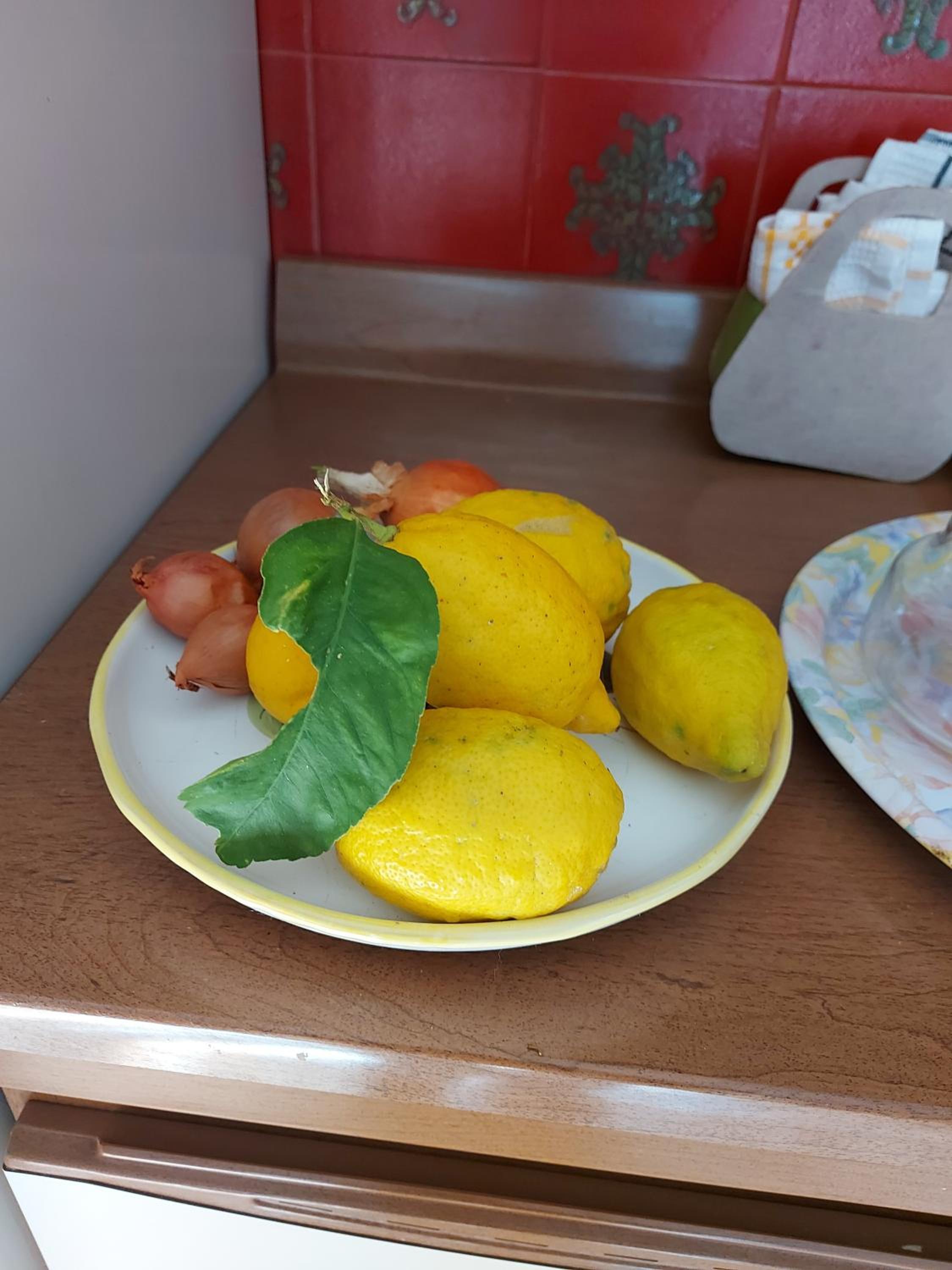 Photo 17