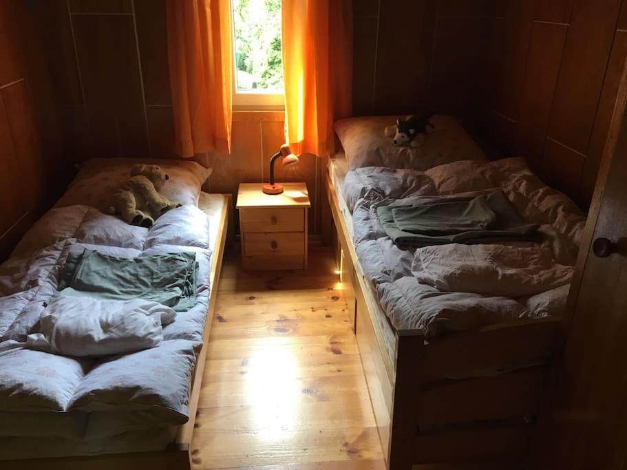Cozy mountain cottage with terrace in Dolni Lomna