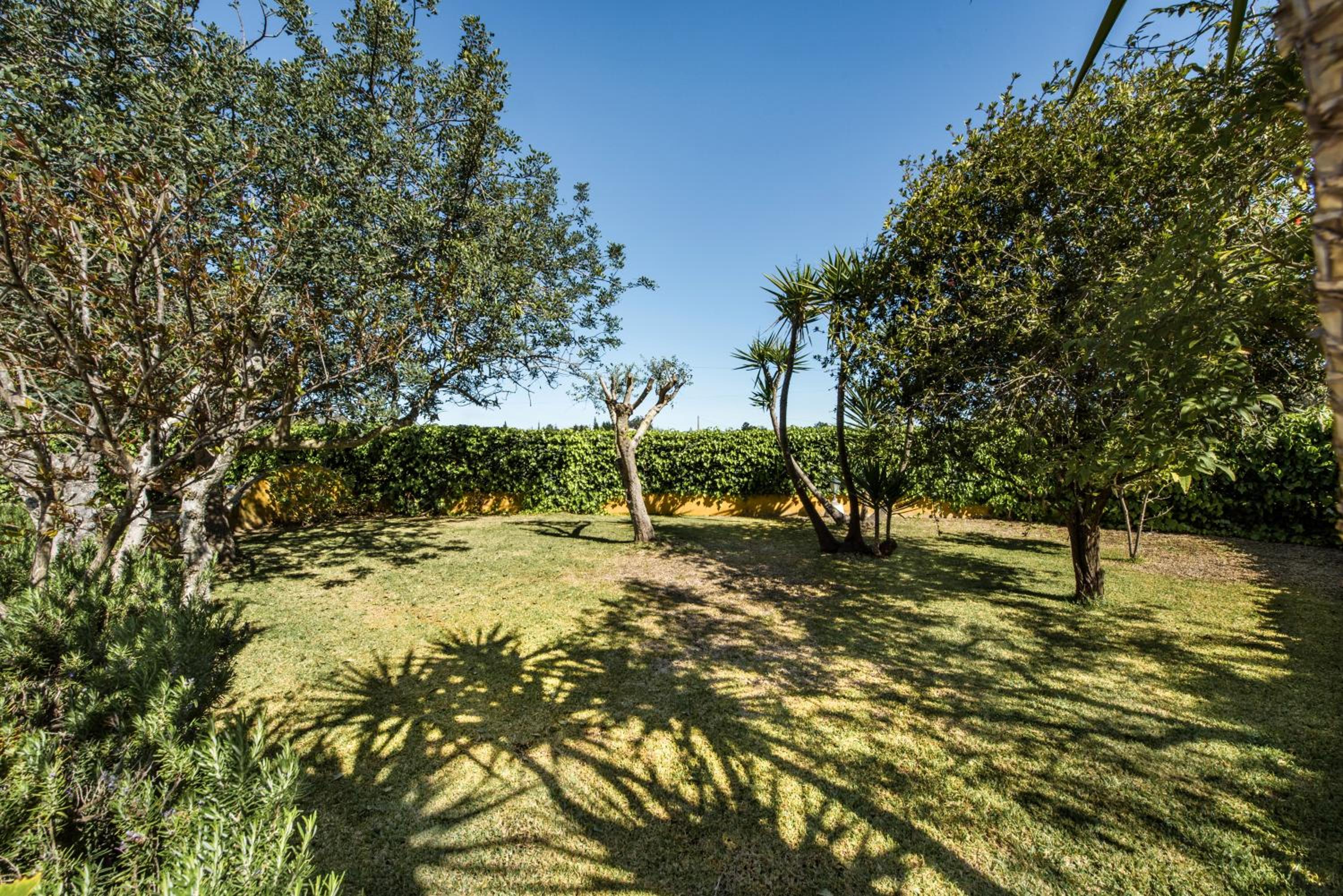 Algarve Villa with Private Pool and Garden