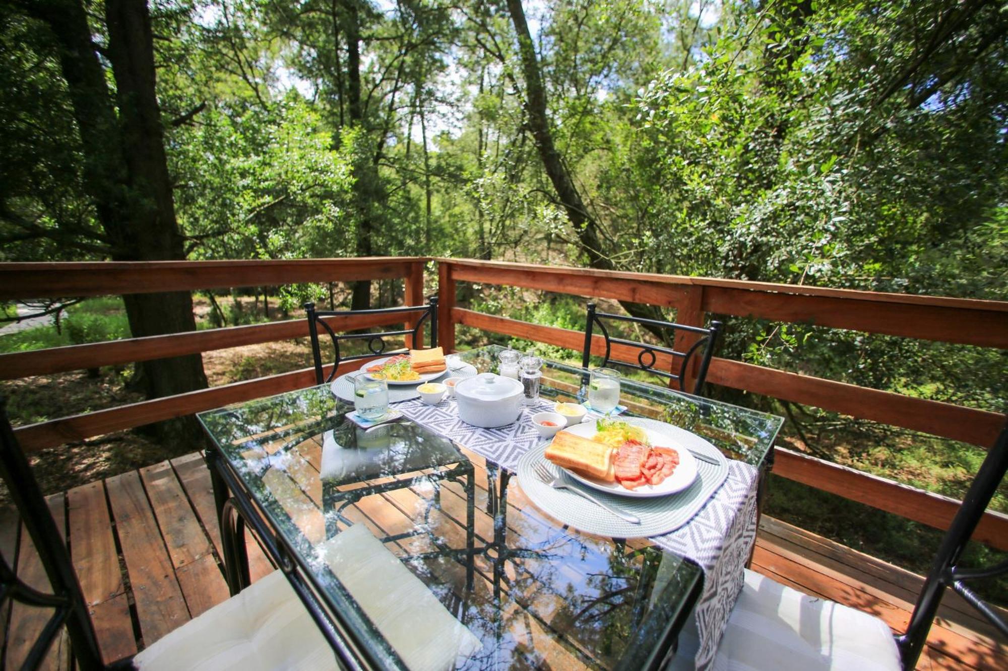 Hide Away Cabin view 4