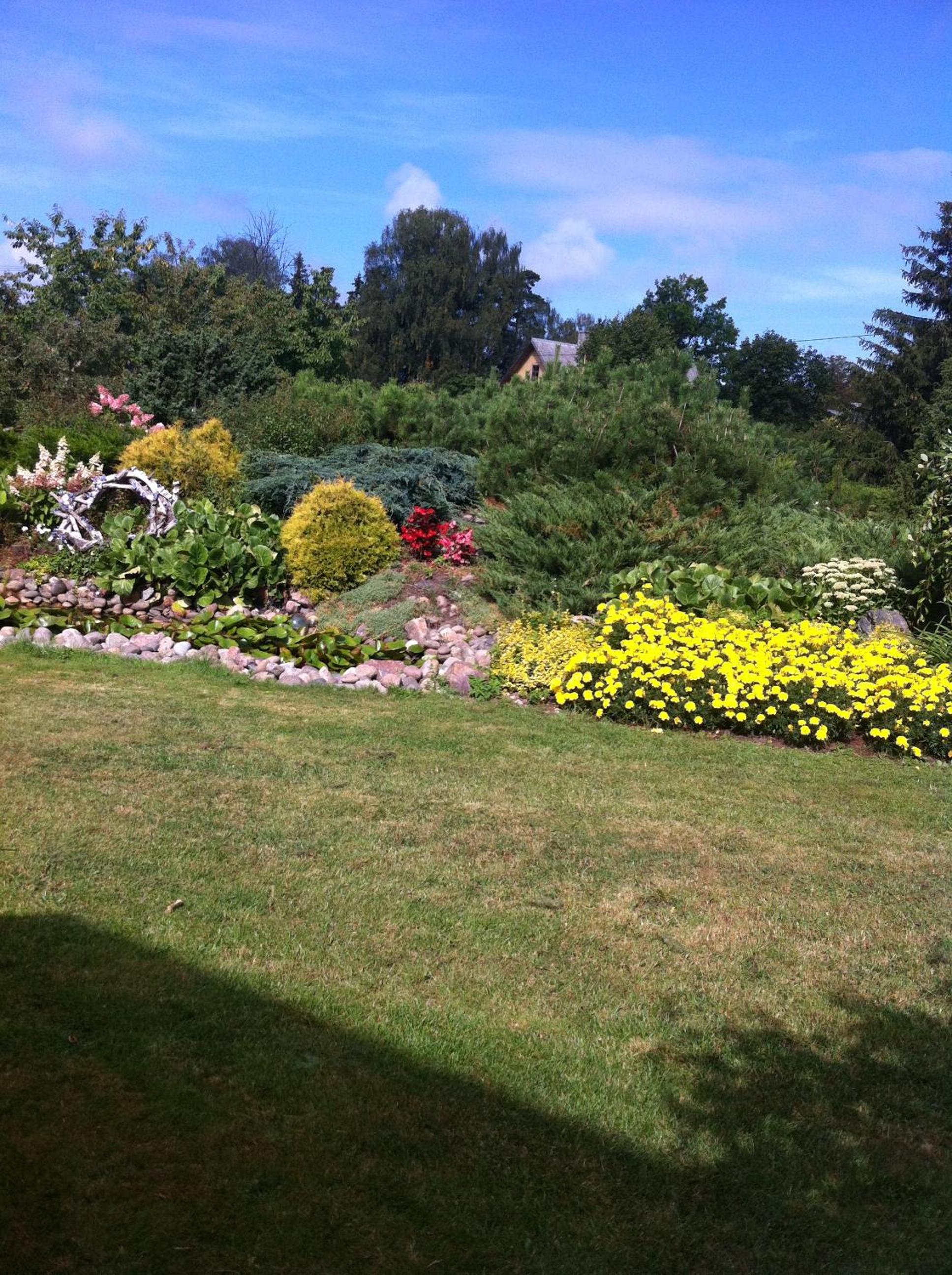 Photo 20