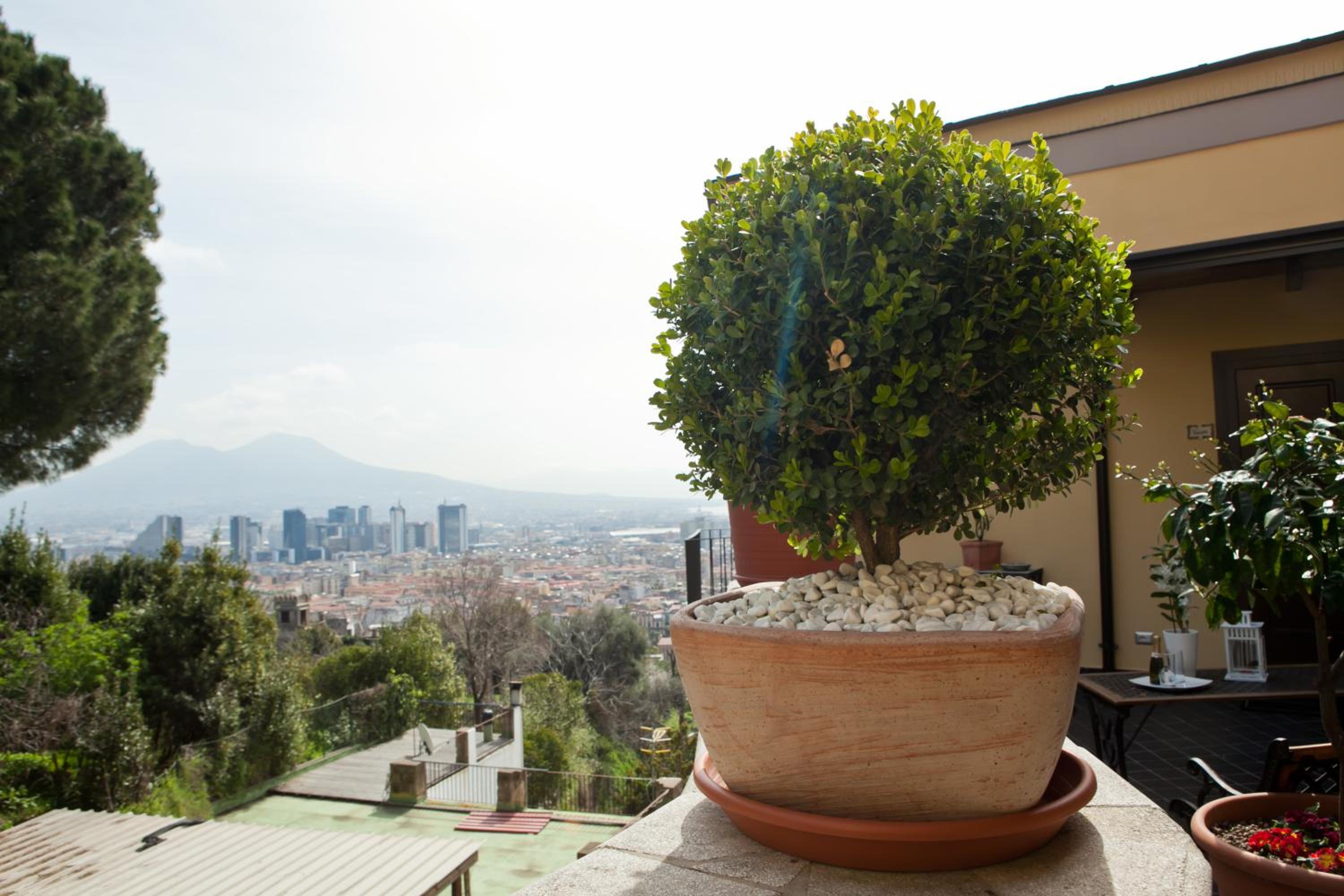 B&B La Veduta