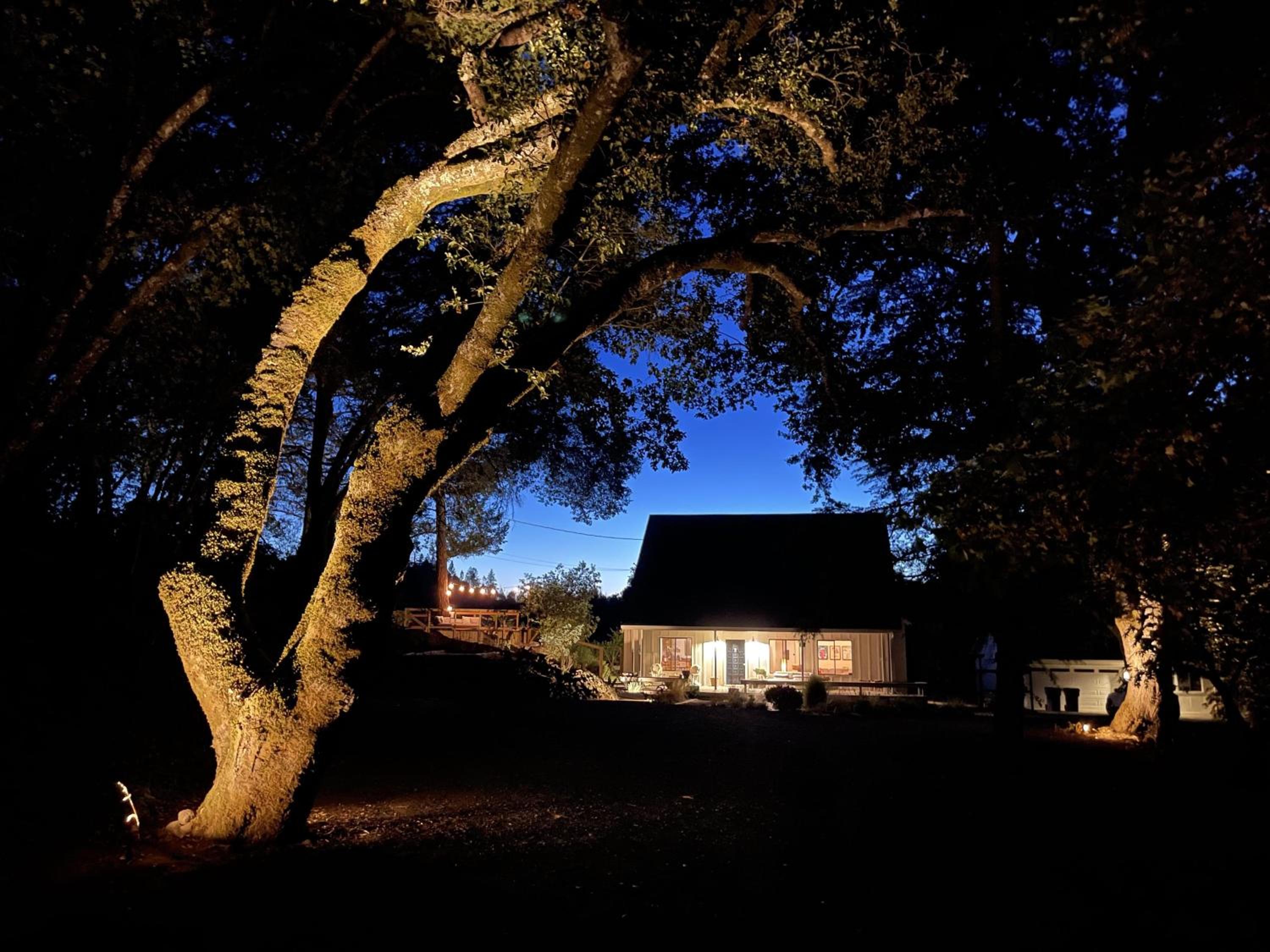 The Calistoga Cottage Wooded And Sunny 5 Mins To Downtown view 5