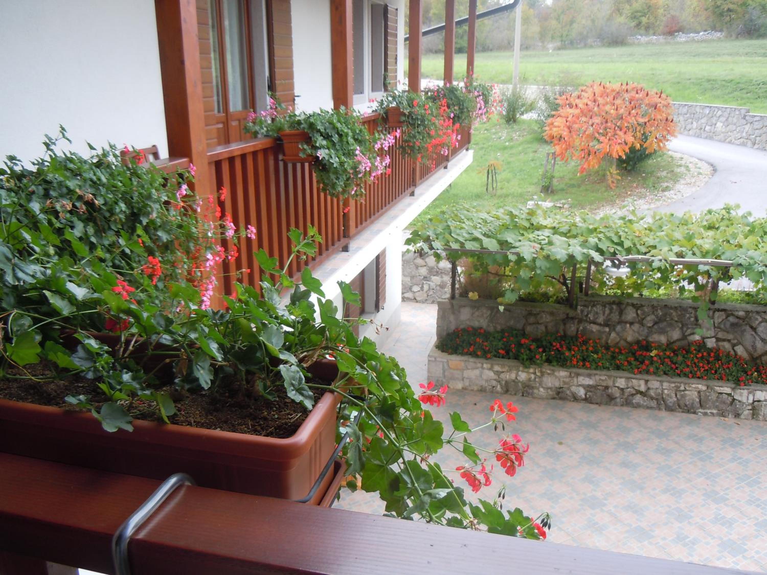 Photo 44
