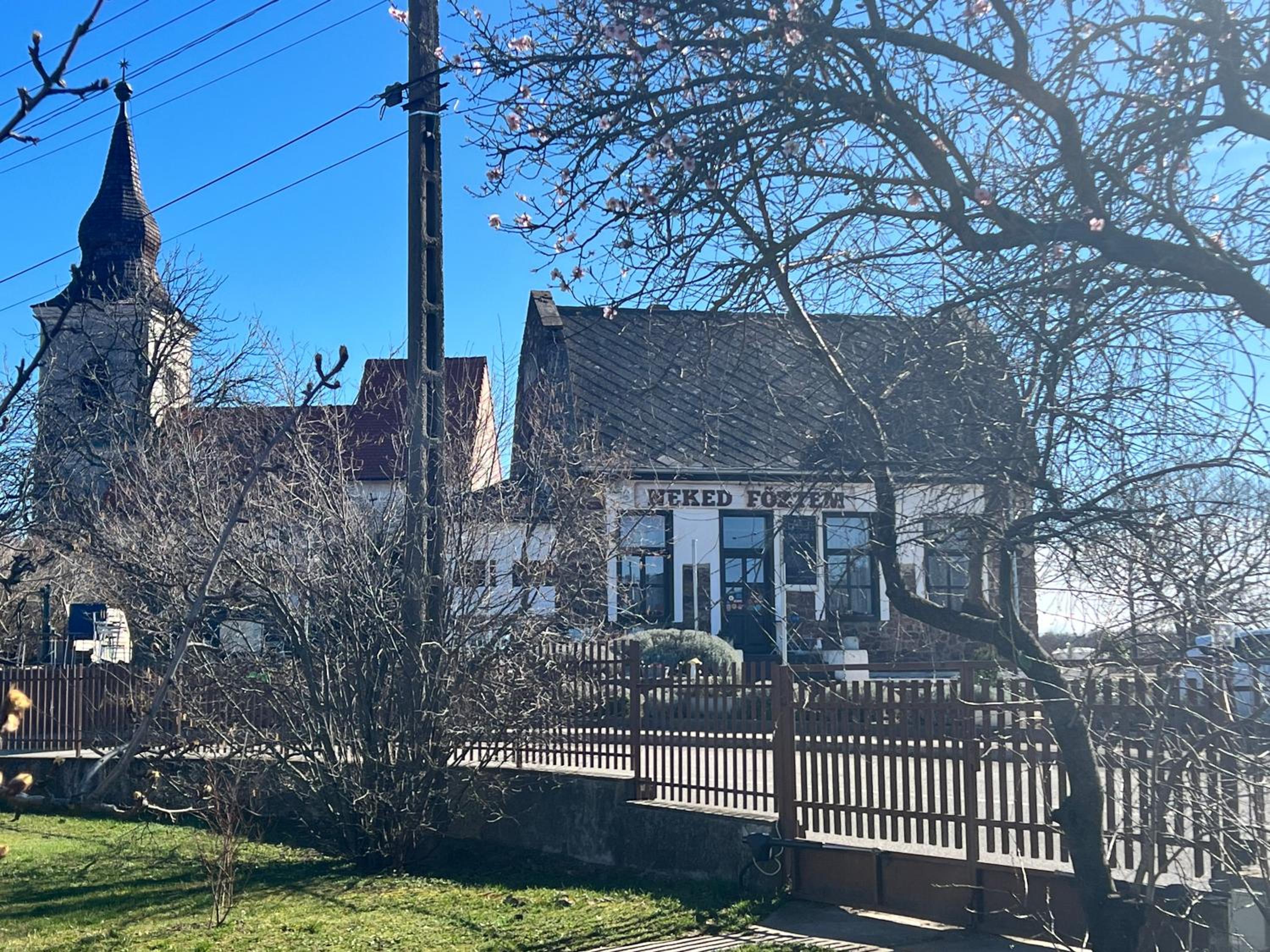 Photo 17