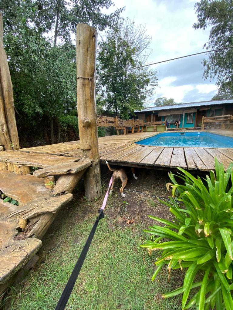 Huecubu suites