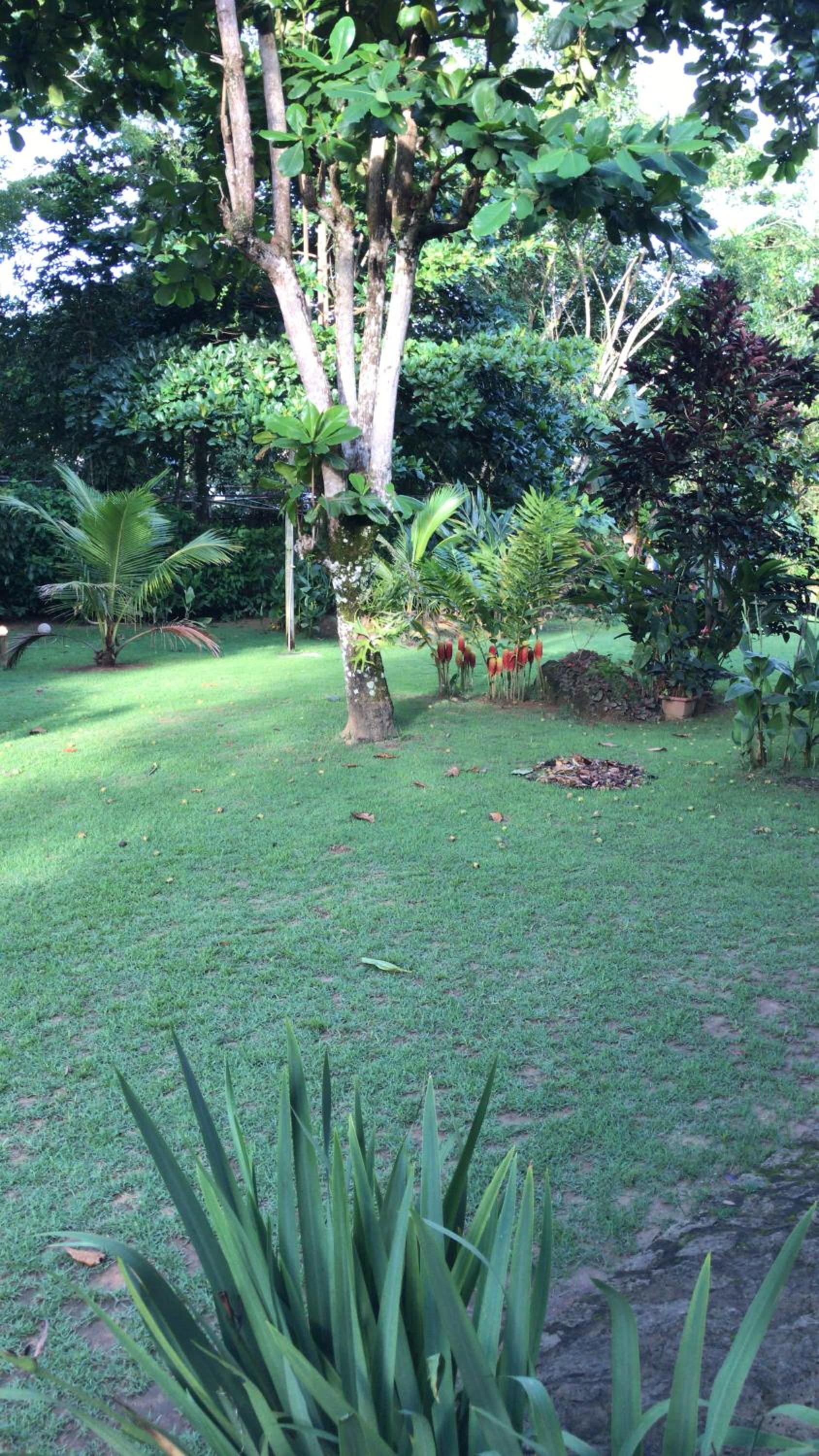 Doce aconchego são Roque