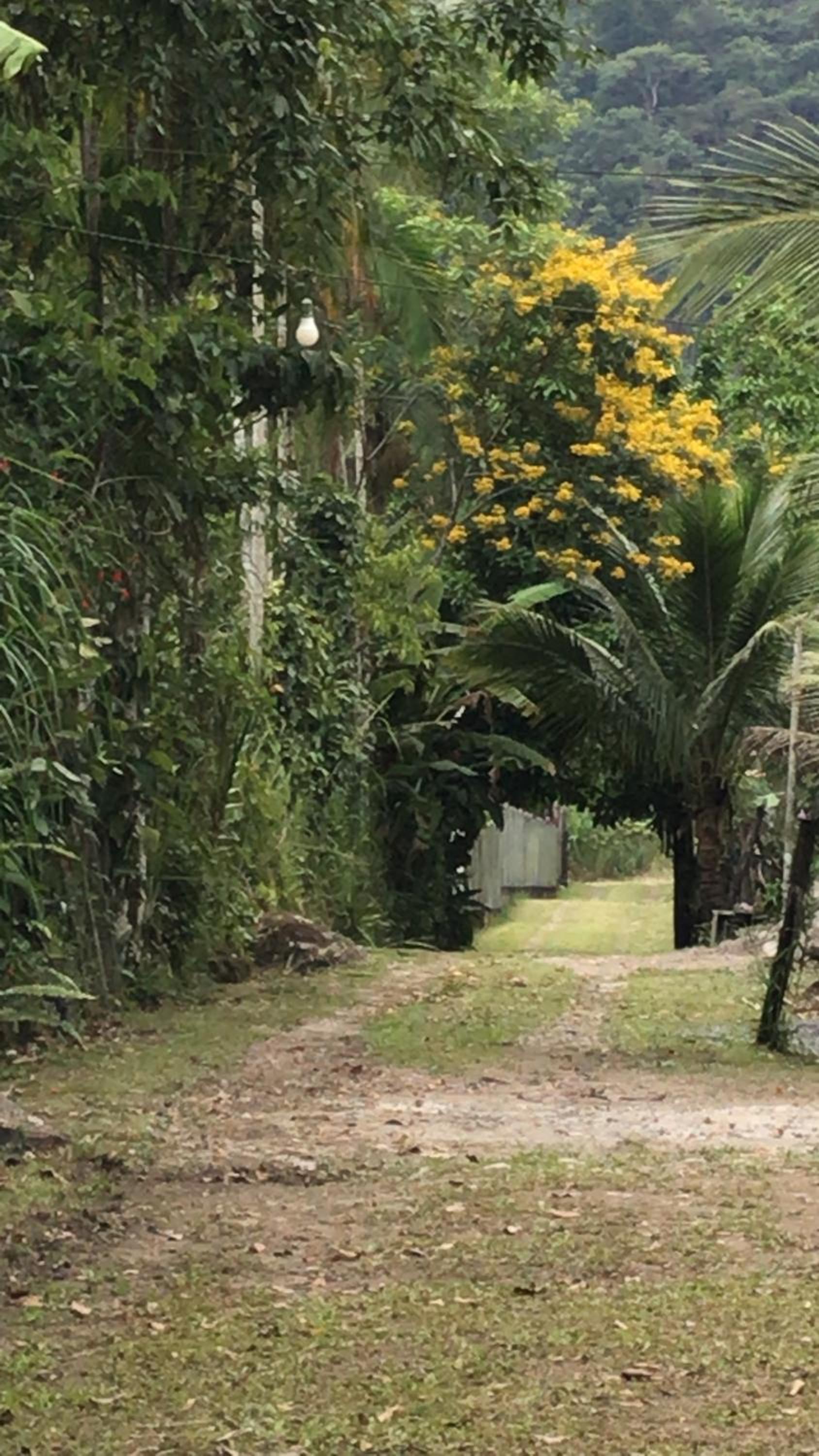 Doce aconchego são Roque