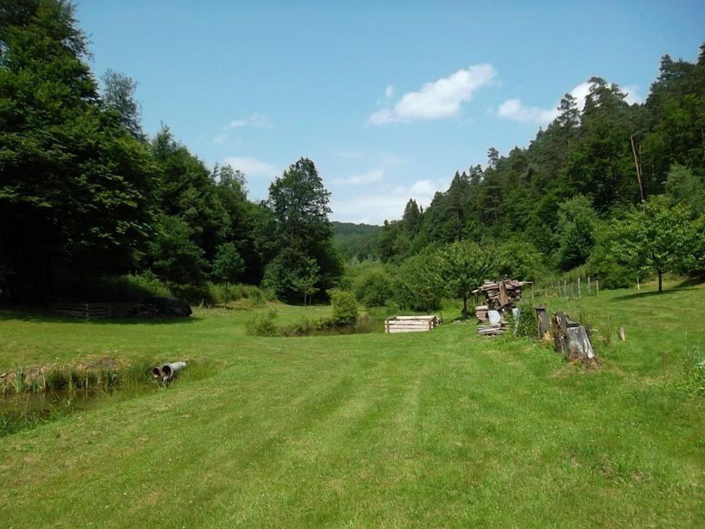 Photo 23