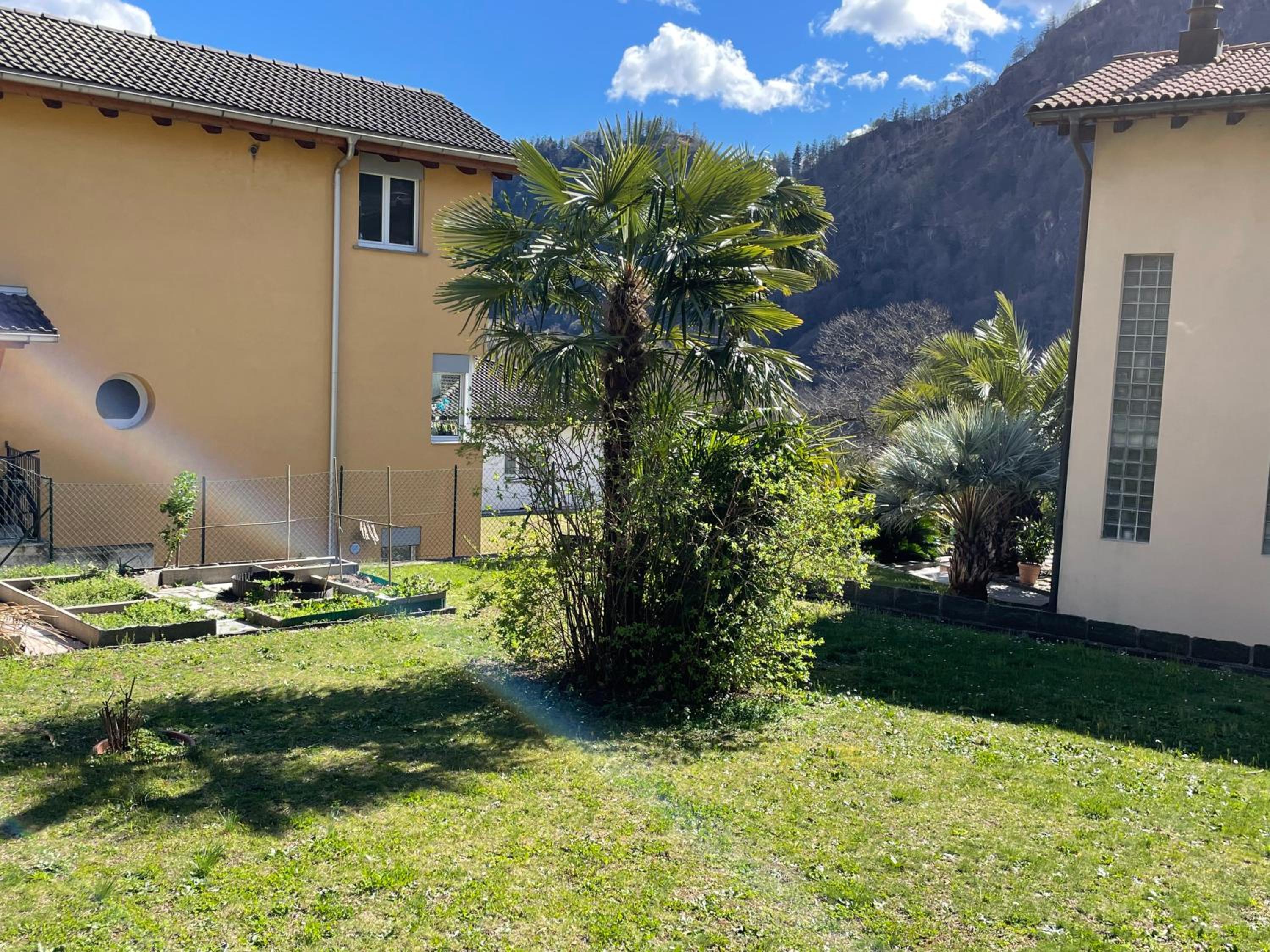 Casa Acacia con giardino