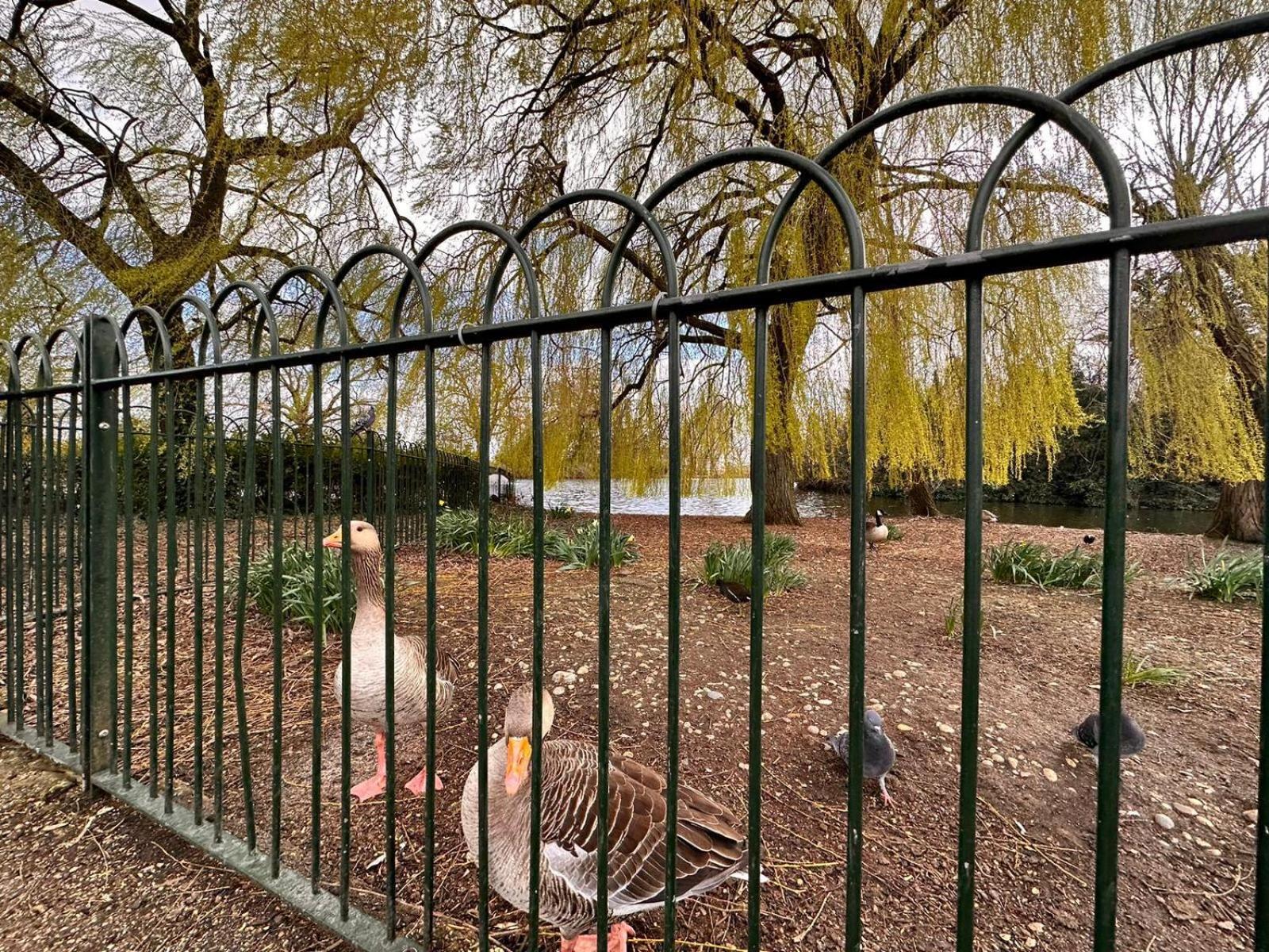 The Finsbury Deluxe Apartments