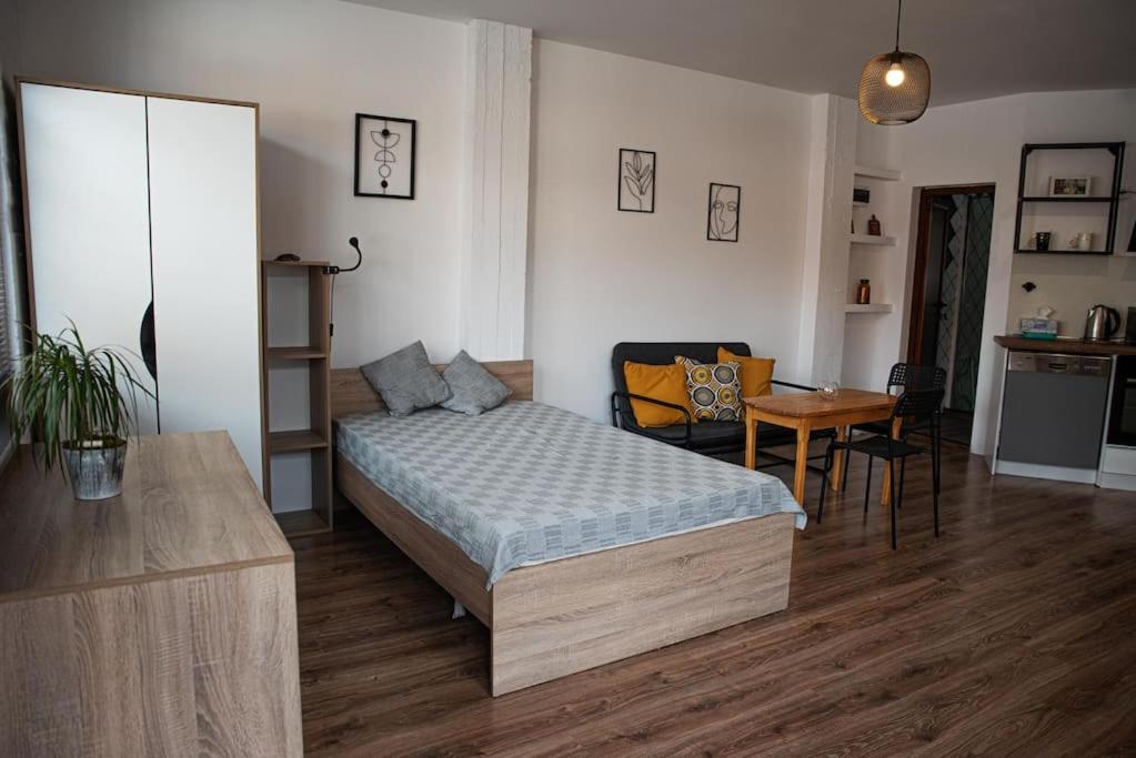 Studio Panagyurishte