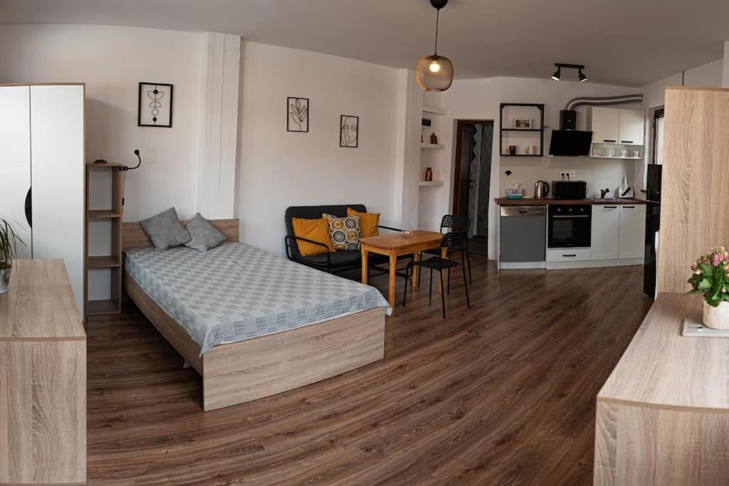 Studio Panagyurishte