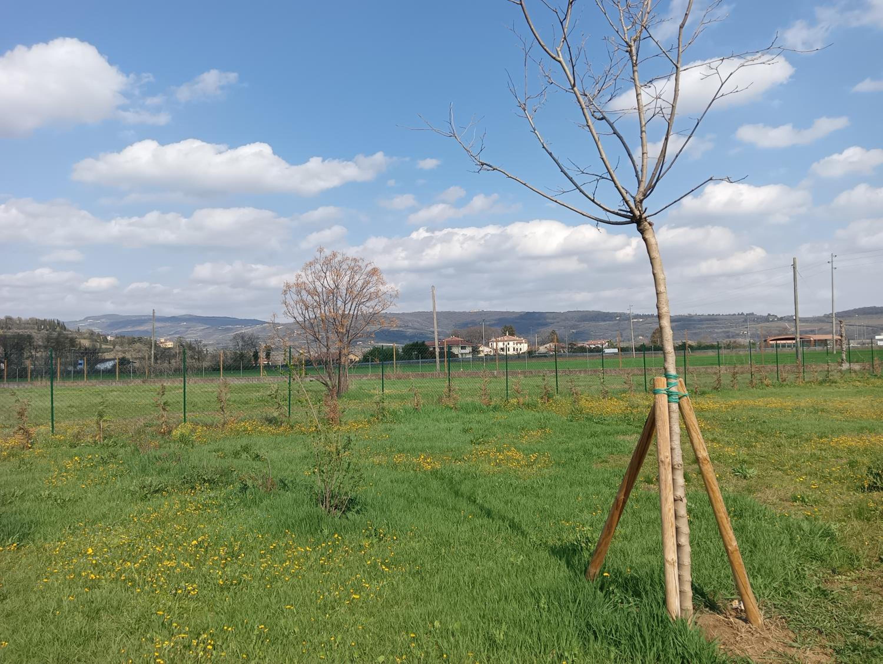 Agricampeggio Oro Verde photo 2