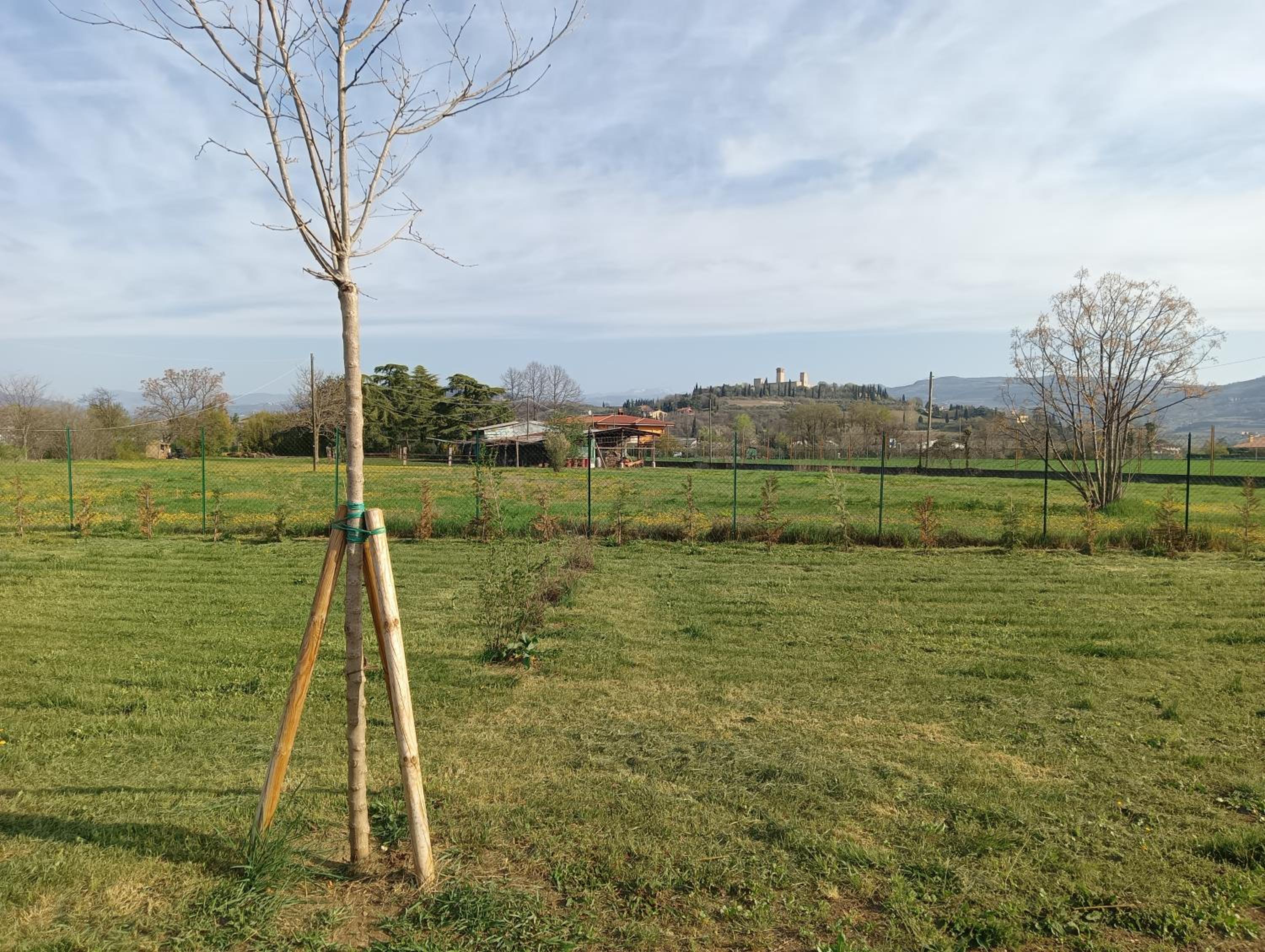 Agricampeggio Oro Verde, Billede 9