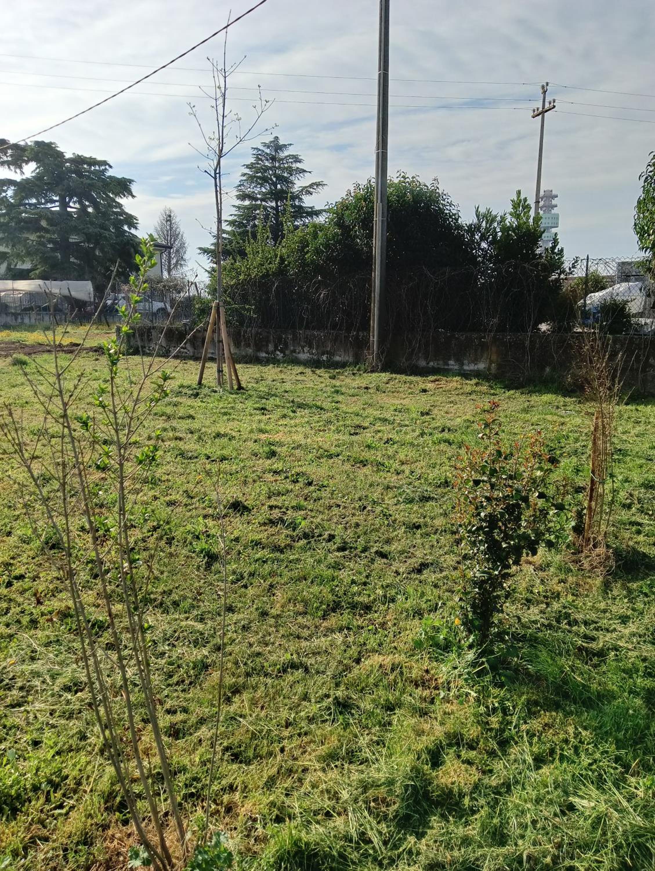 Agricampeggio Oro Verde photo 5