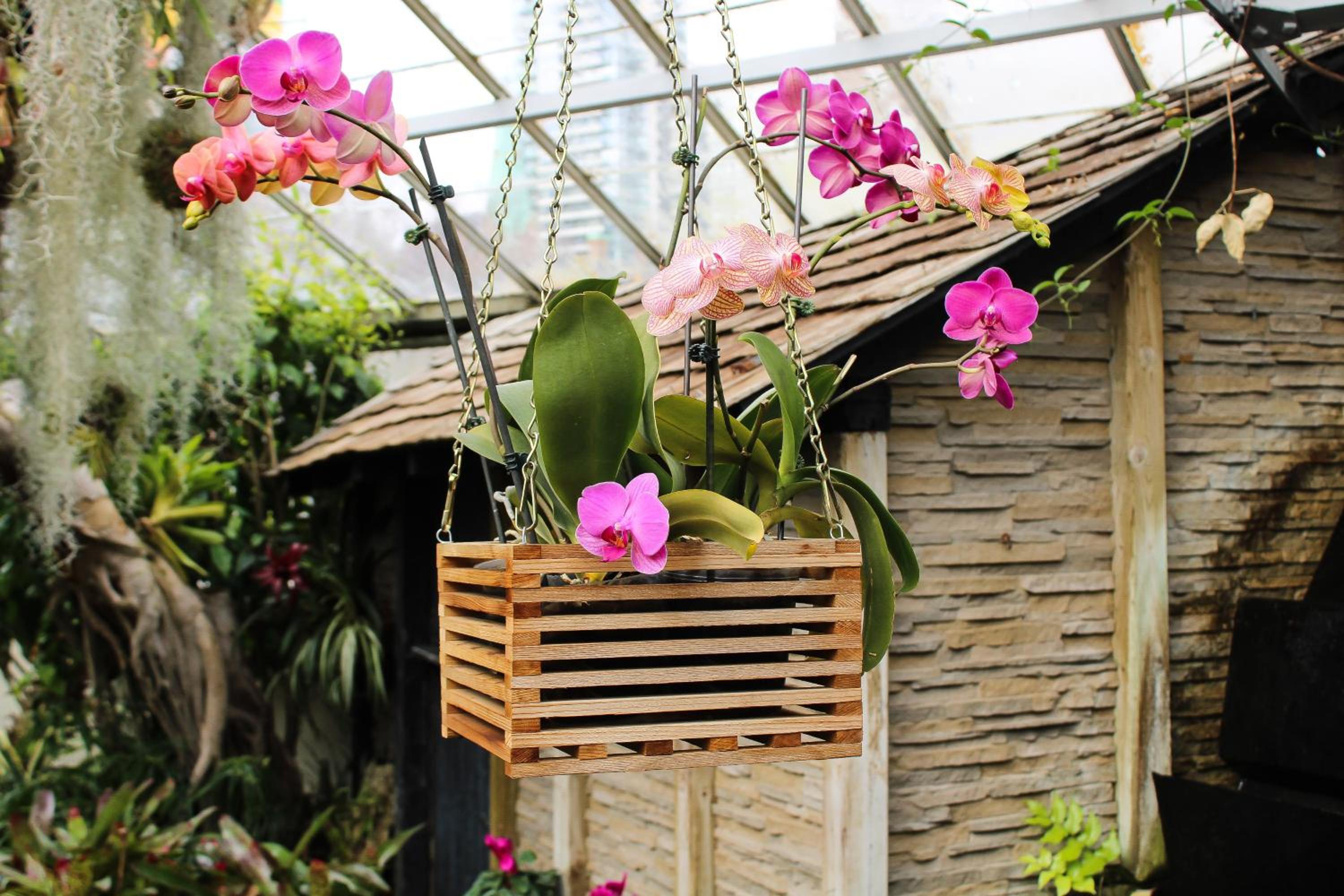 Villa Orchid Garden Riverside Hoi An