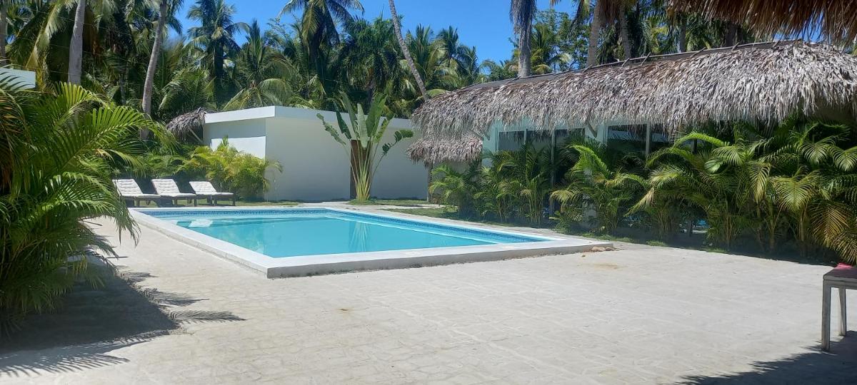 Zodiaco in Las Terrenas — photo 2