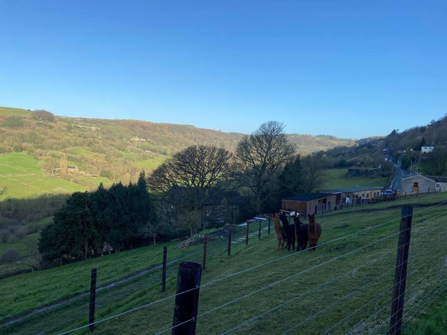 Unique Victorian stable conversion Halifax