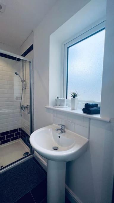 Contemporary studio apartment