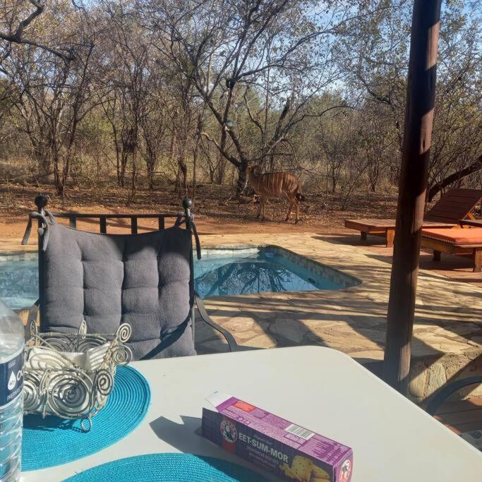 Hoedspruit Bush Cottage view 2