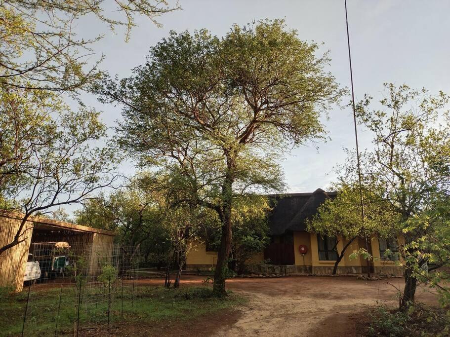 Hoedspruit Bush Cottage view 5
