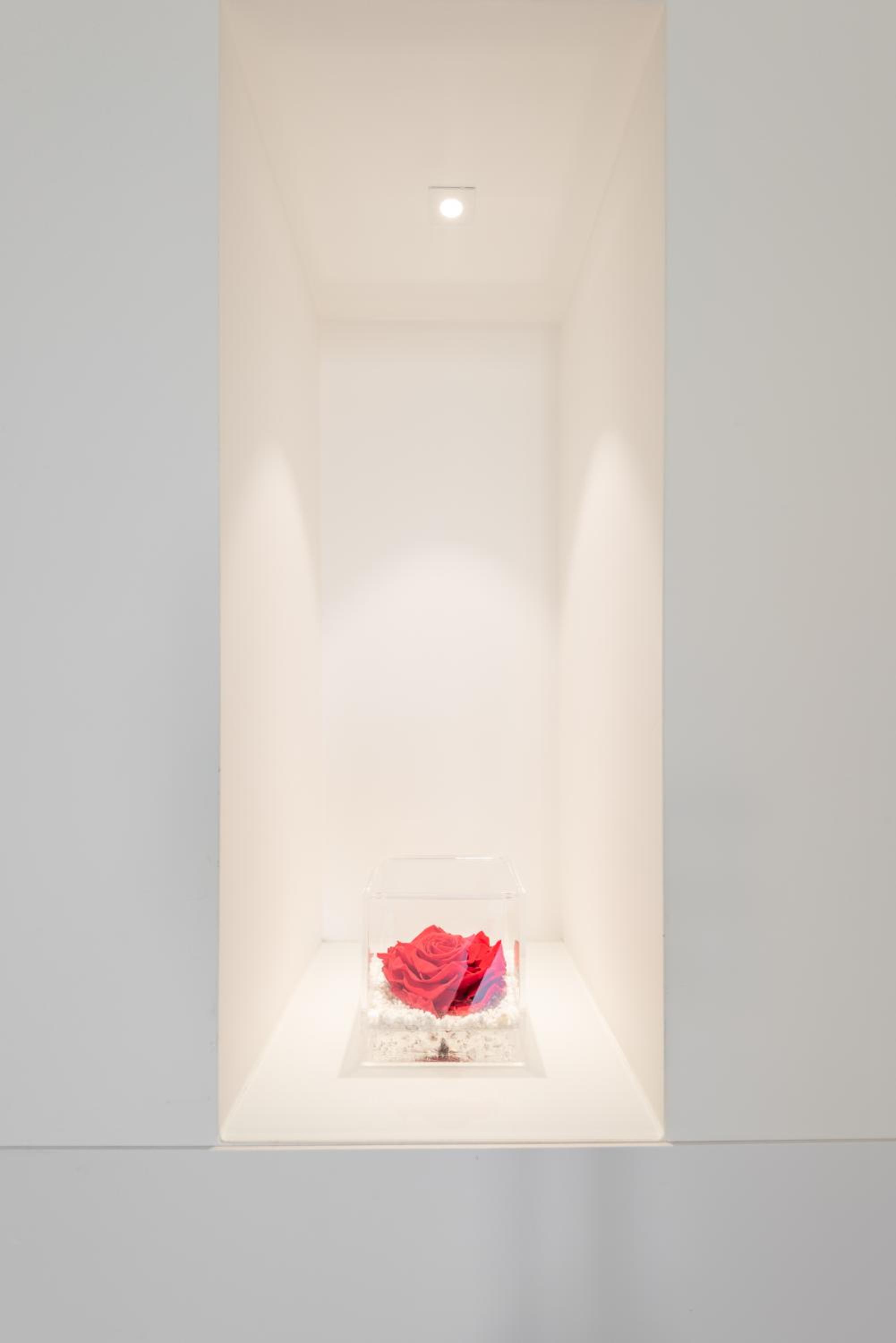 Vittorio Veneto Matera Luxury Rooms