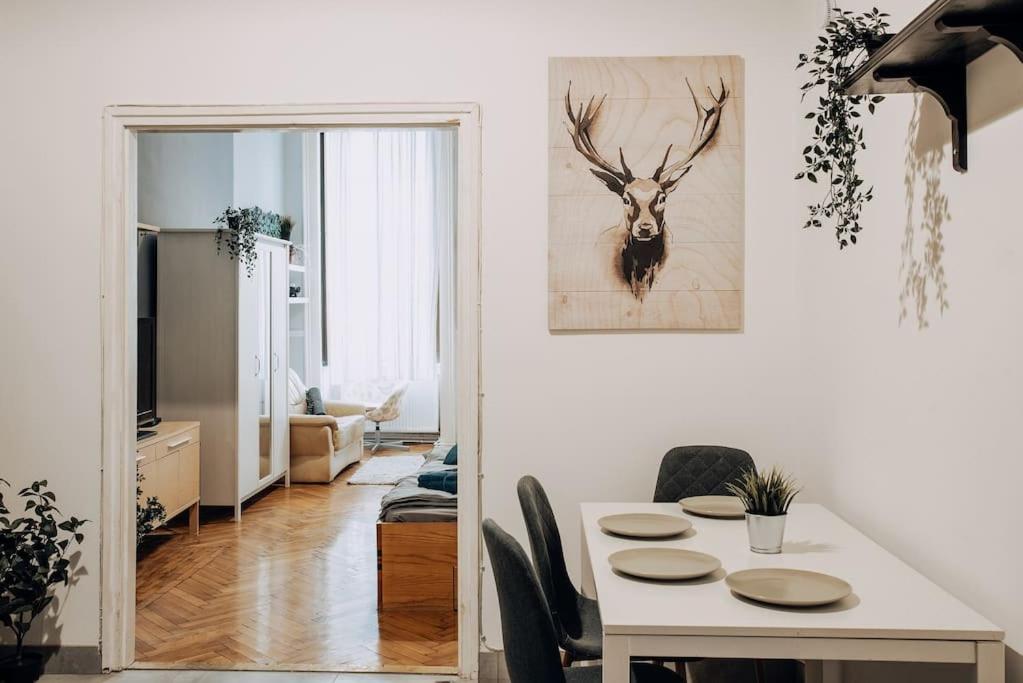 BIG APARTMENT IN THE CITY CENTRE