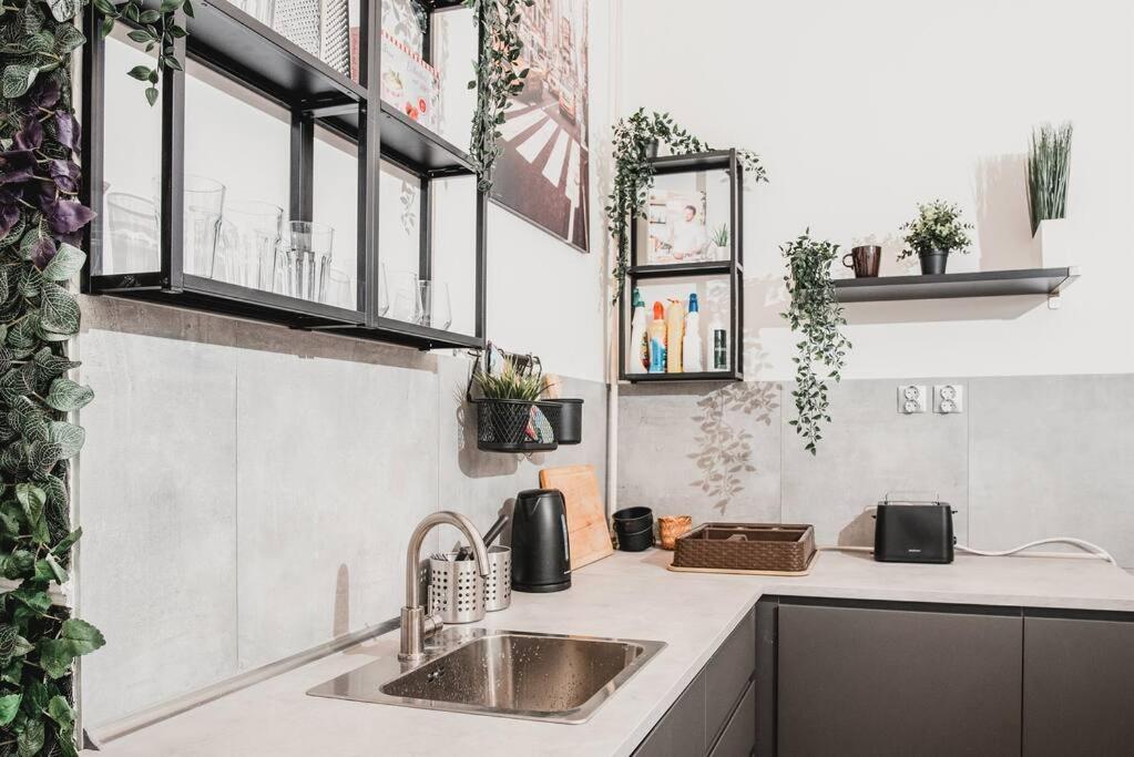 BIG APARTMENT IN THE CITY CENTRE