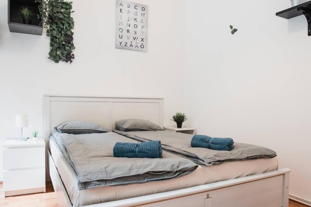 BIG APARTMENT IN THE CITY CENTRE