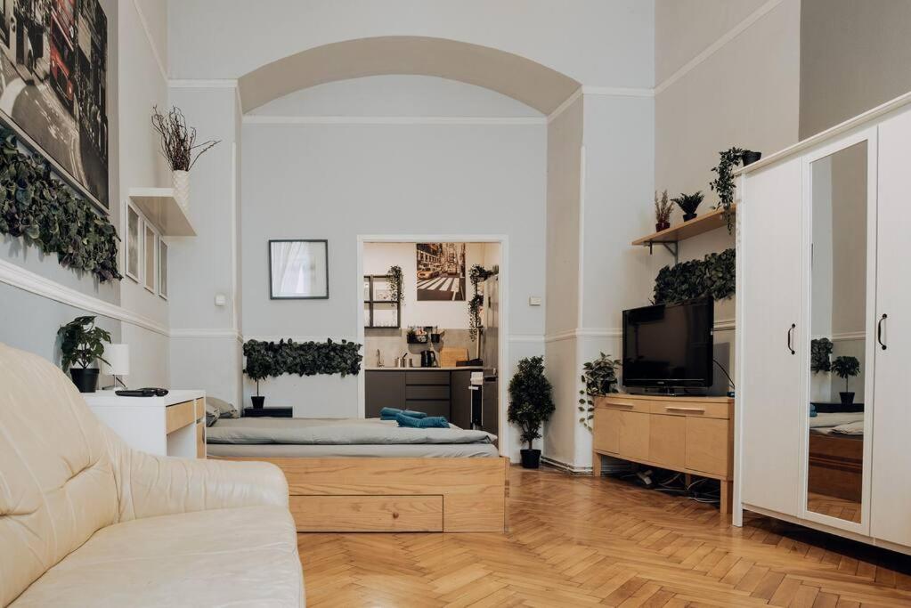 BIG APARTMENT IN THE CITY CENTRE