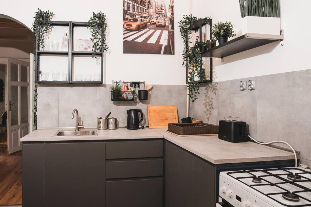 BIG APARTMENT IN THE CITY CENTRE