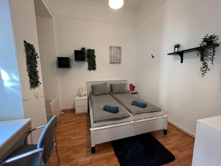 BIG APARTMENT IN THE CITY CENTRE