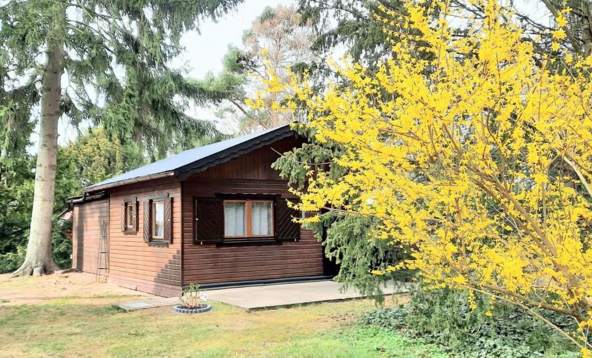 Kleiner Bungalow Am Wald view 3