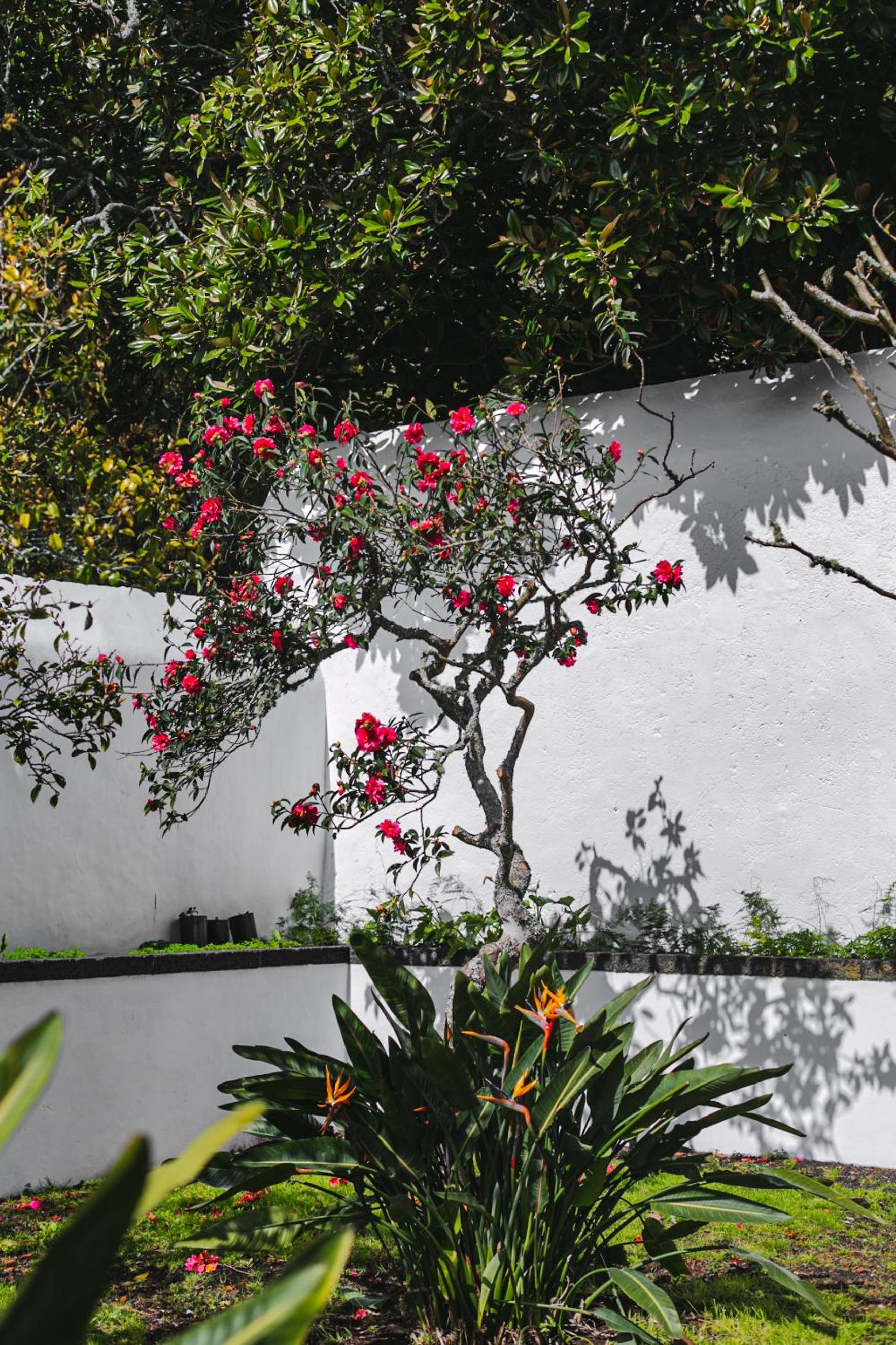 Quinta dos Mistérios- Turismo de Habitação view 4