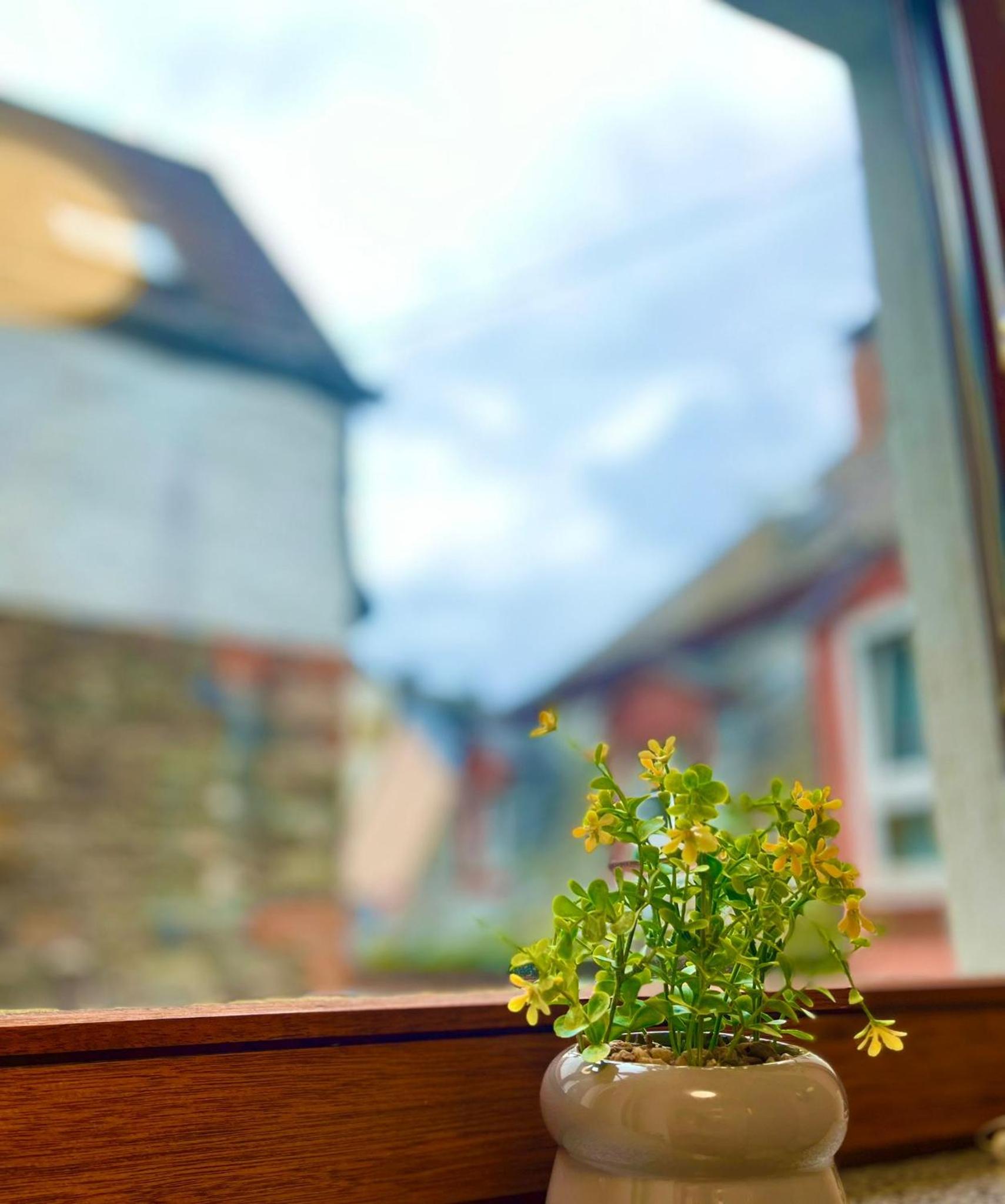 Ferienwohnung Bloom