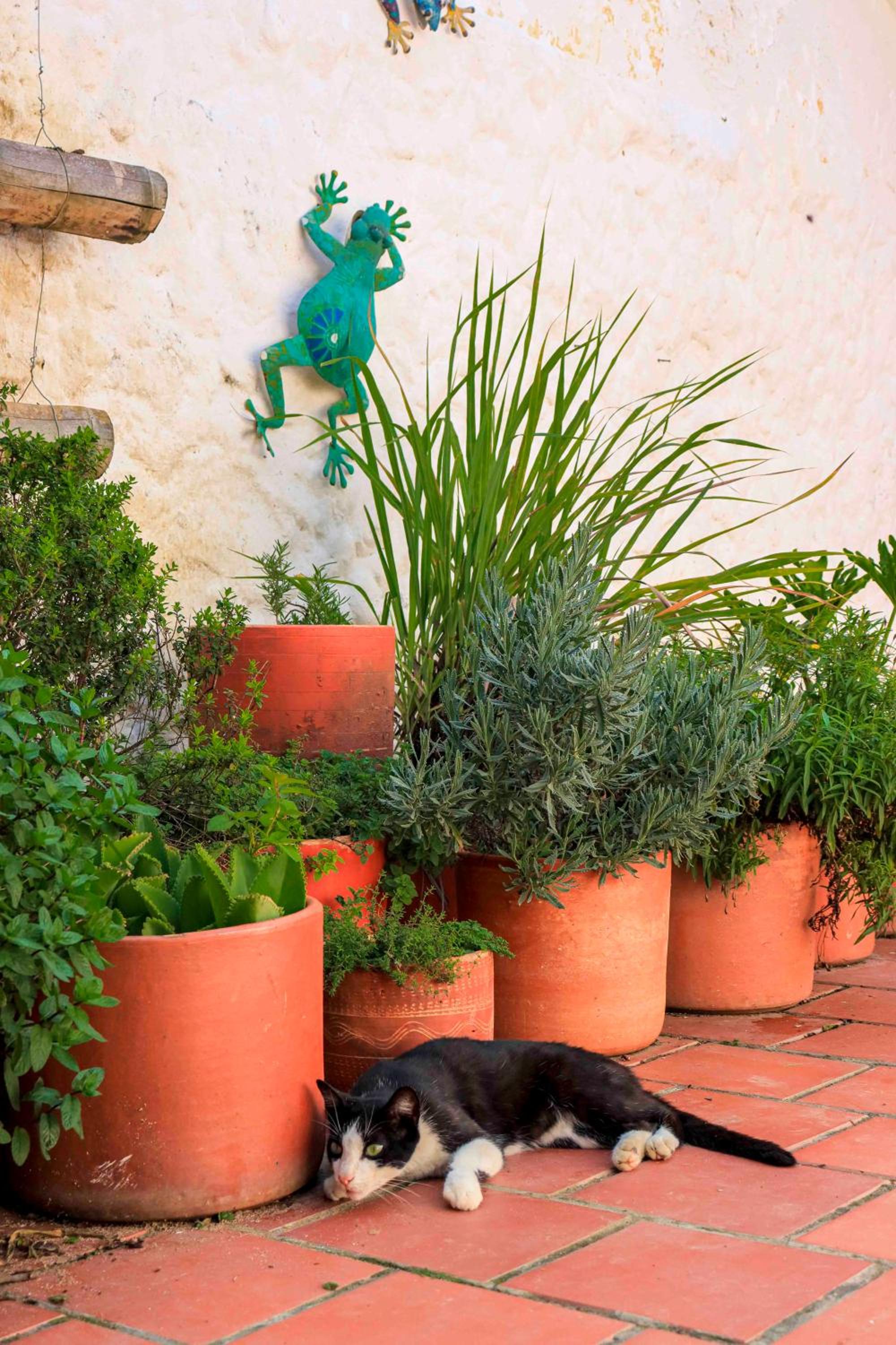 La Hacienda