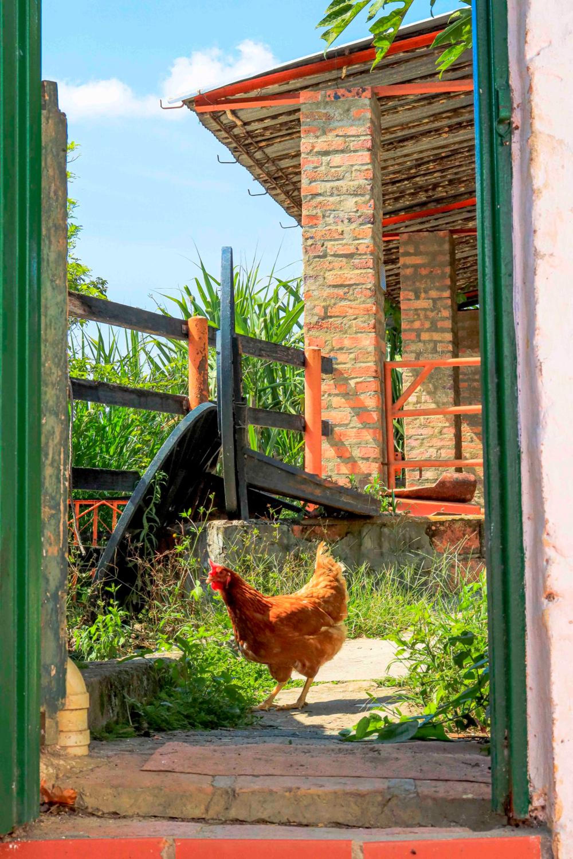 La Hacienda