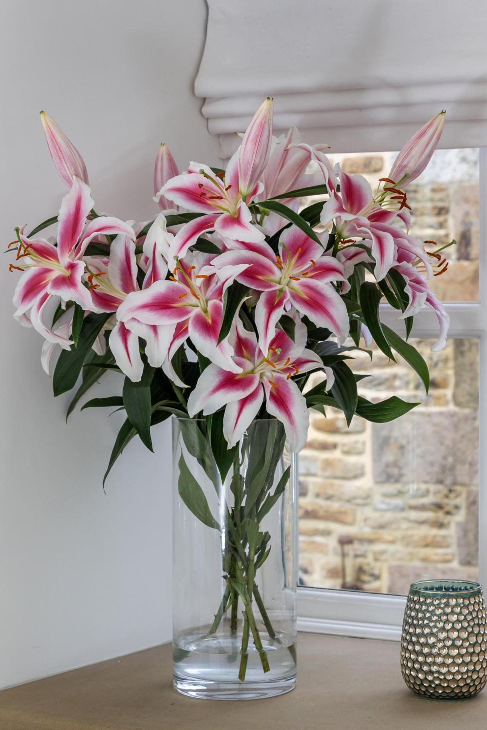 Finest Retreats - Middle Warble Stables