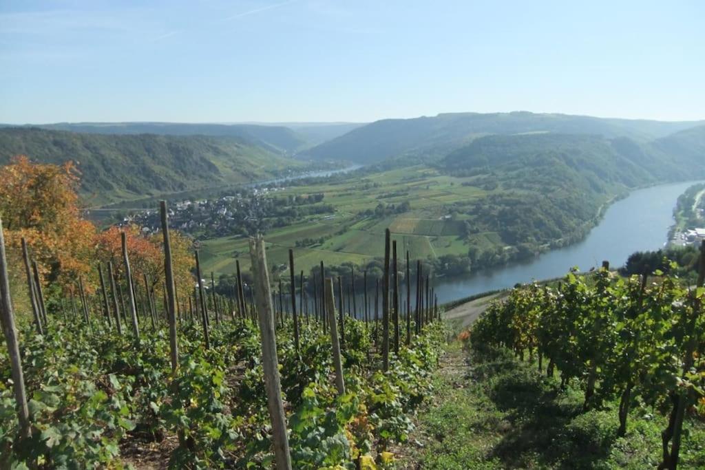 Ferienwohnung Weiherblick, Vulkaneifel