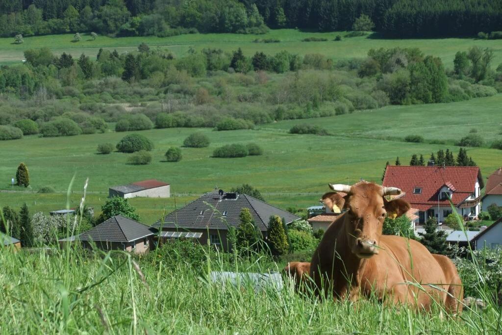 Ferienwohnung Weiherblick, Vulkaneifel