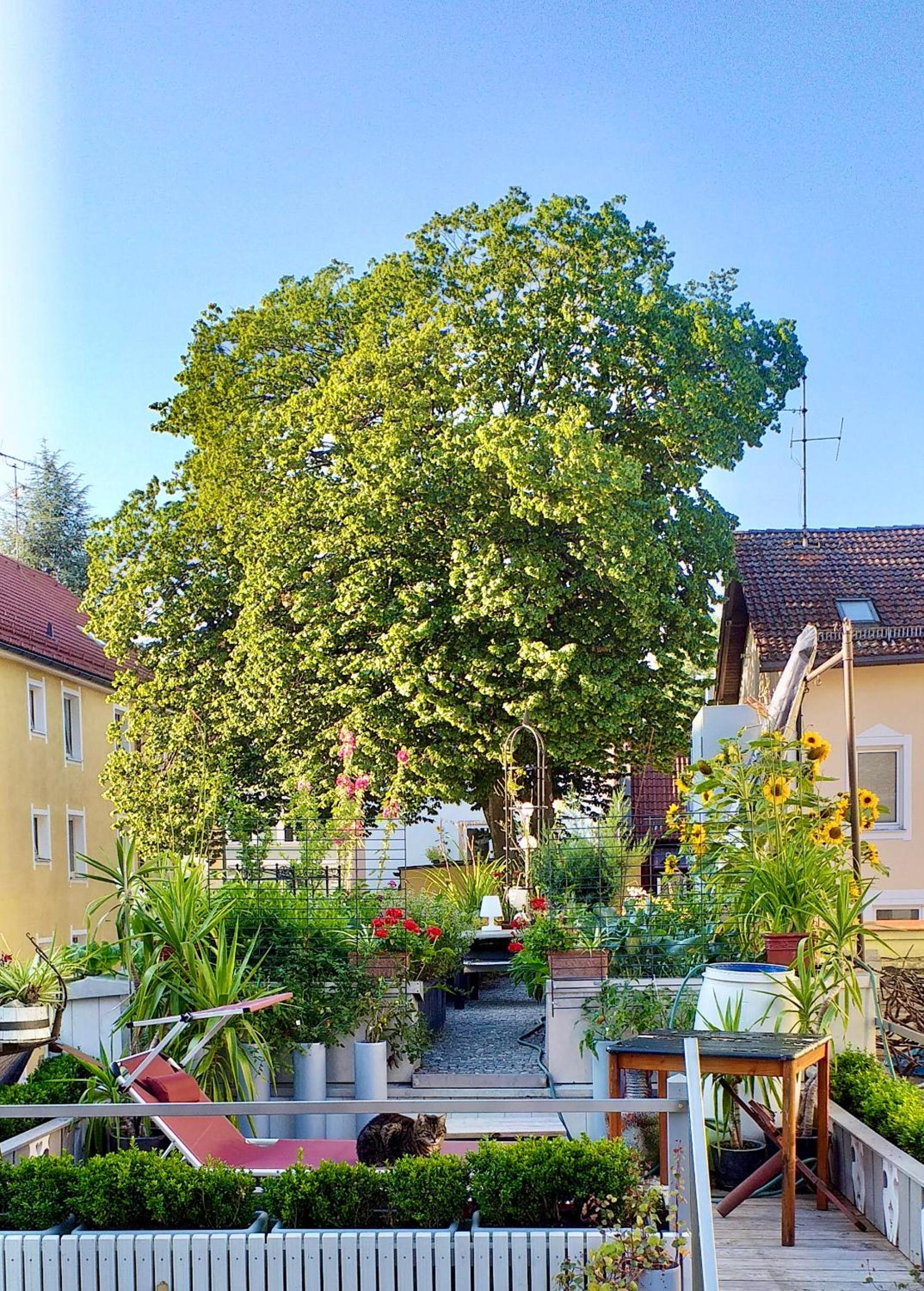 Zentrale Idylle mit Gemeinschaftsbad