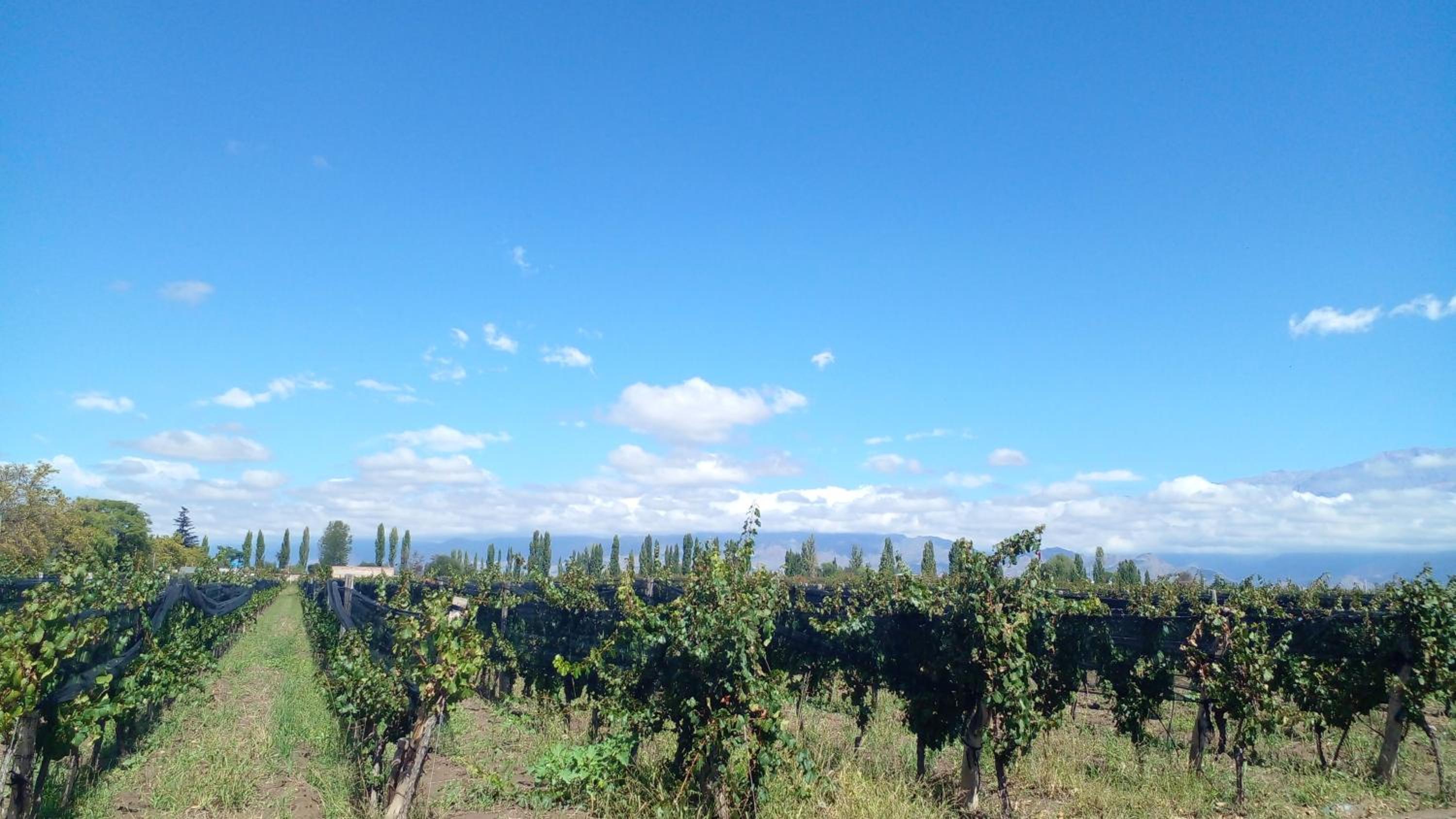 El Atelier - Valle de Uco