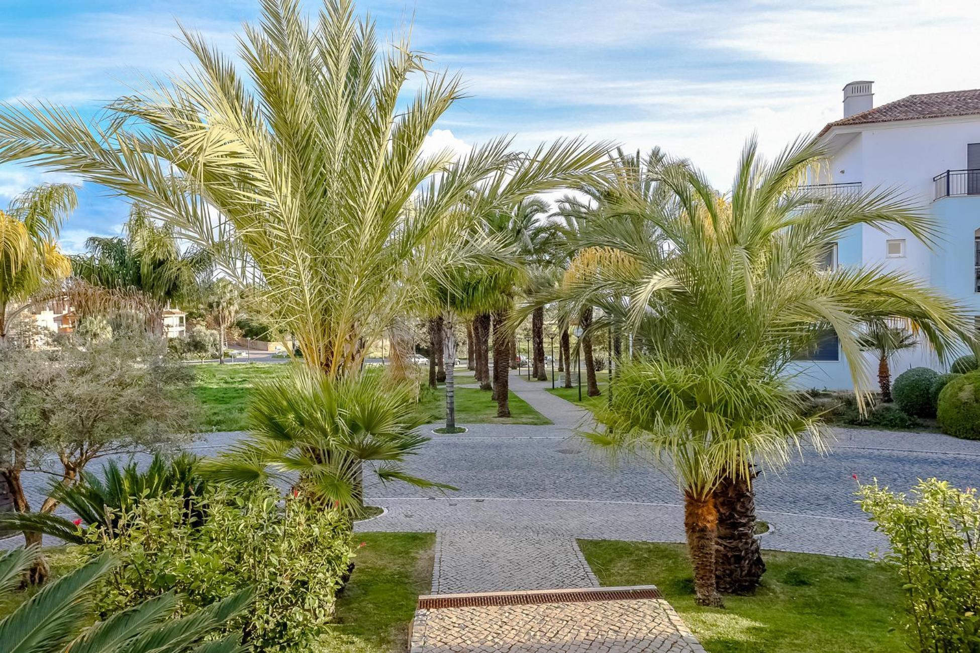 Apartamento Malva - O Pomar view 5