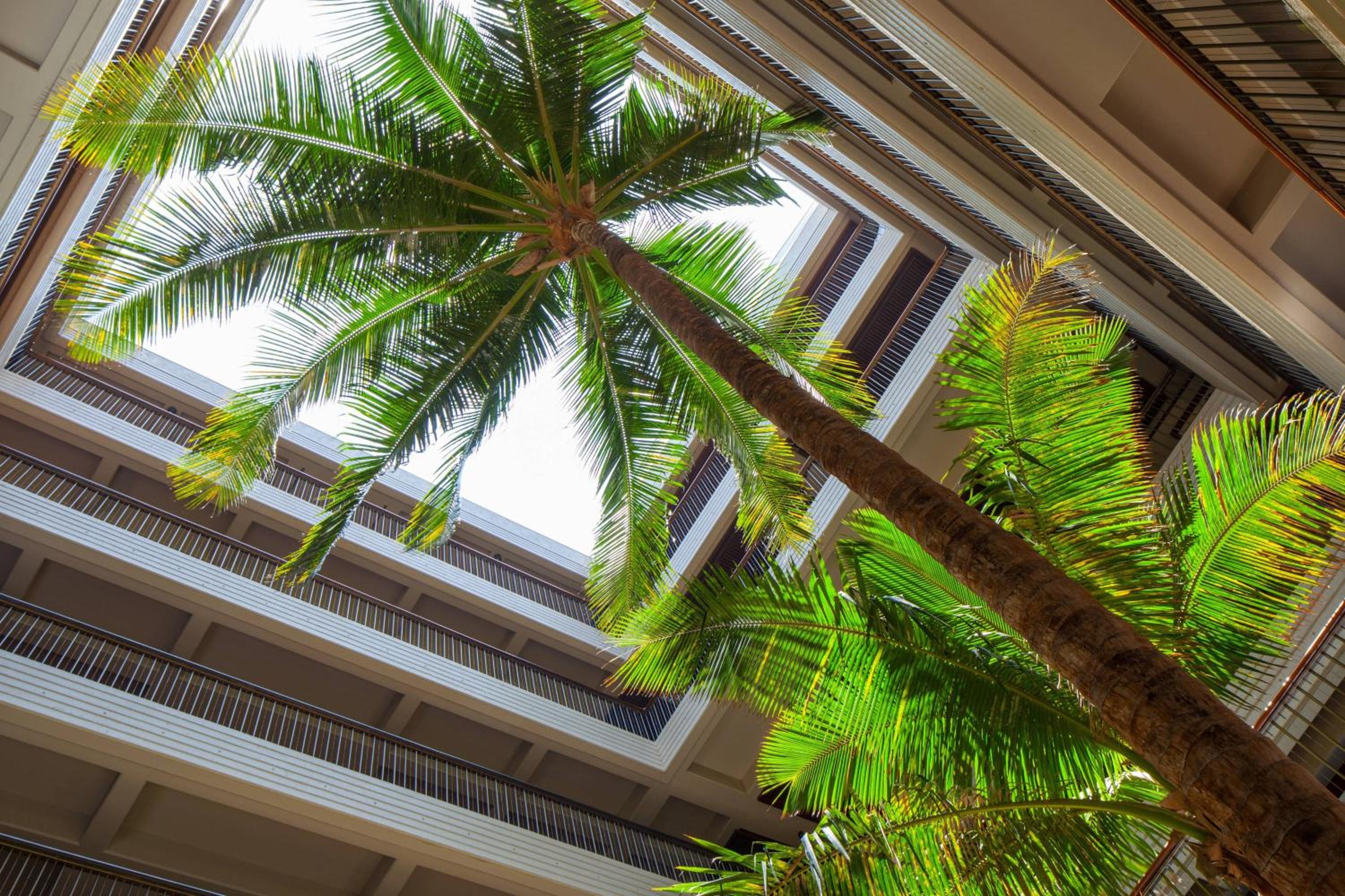 Mauna Kea Beach Hotel, Autograph Collection - Property Image 8